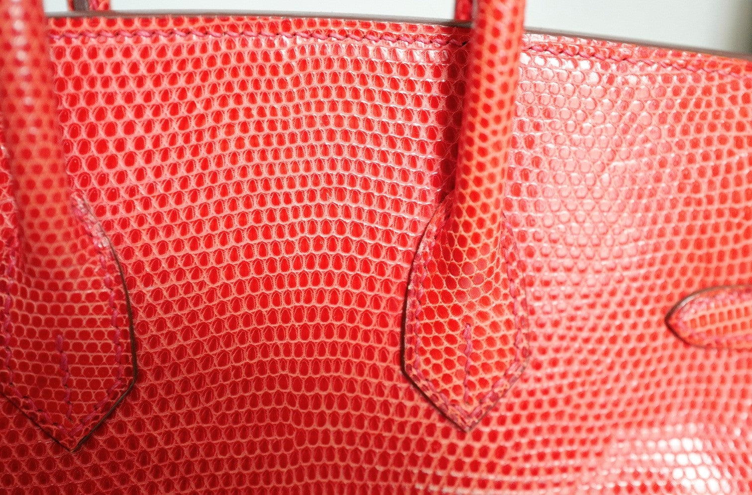 Hermes Birkin 25 Lizard In Bougainvillea Red With Palladium HW