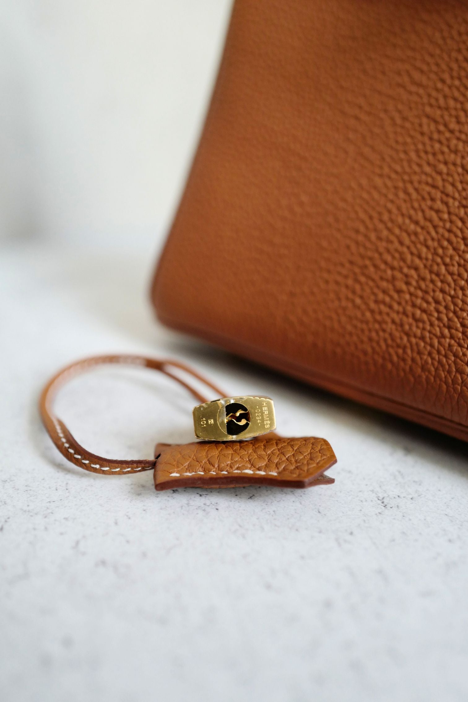 NEW Hermes Birkin 25 Gold Togo Leather Gold Hardware G Stamp 2026