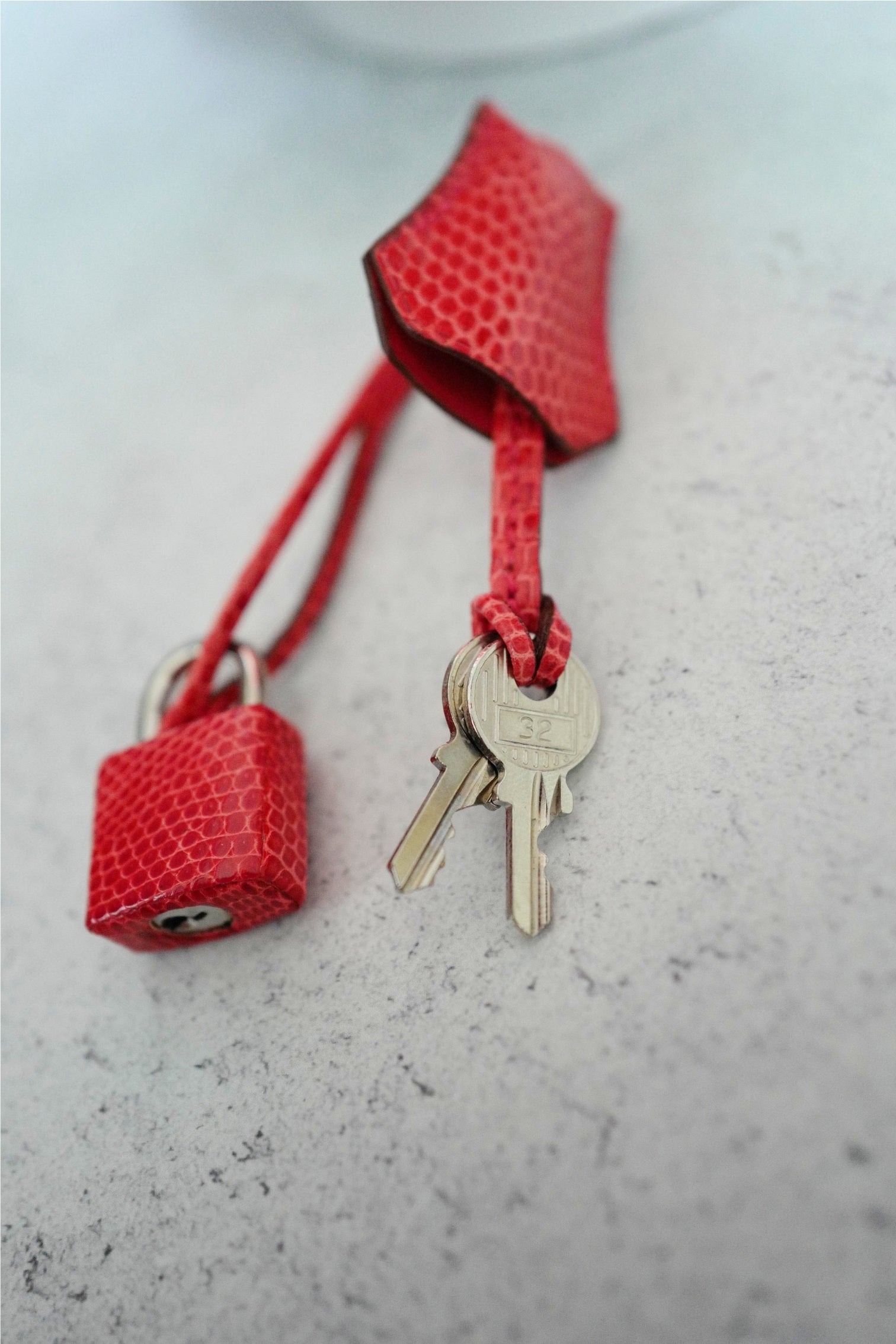 Hermes Birkin 25 Lizard In Bougainvillea Red With Palladium HW