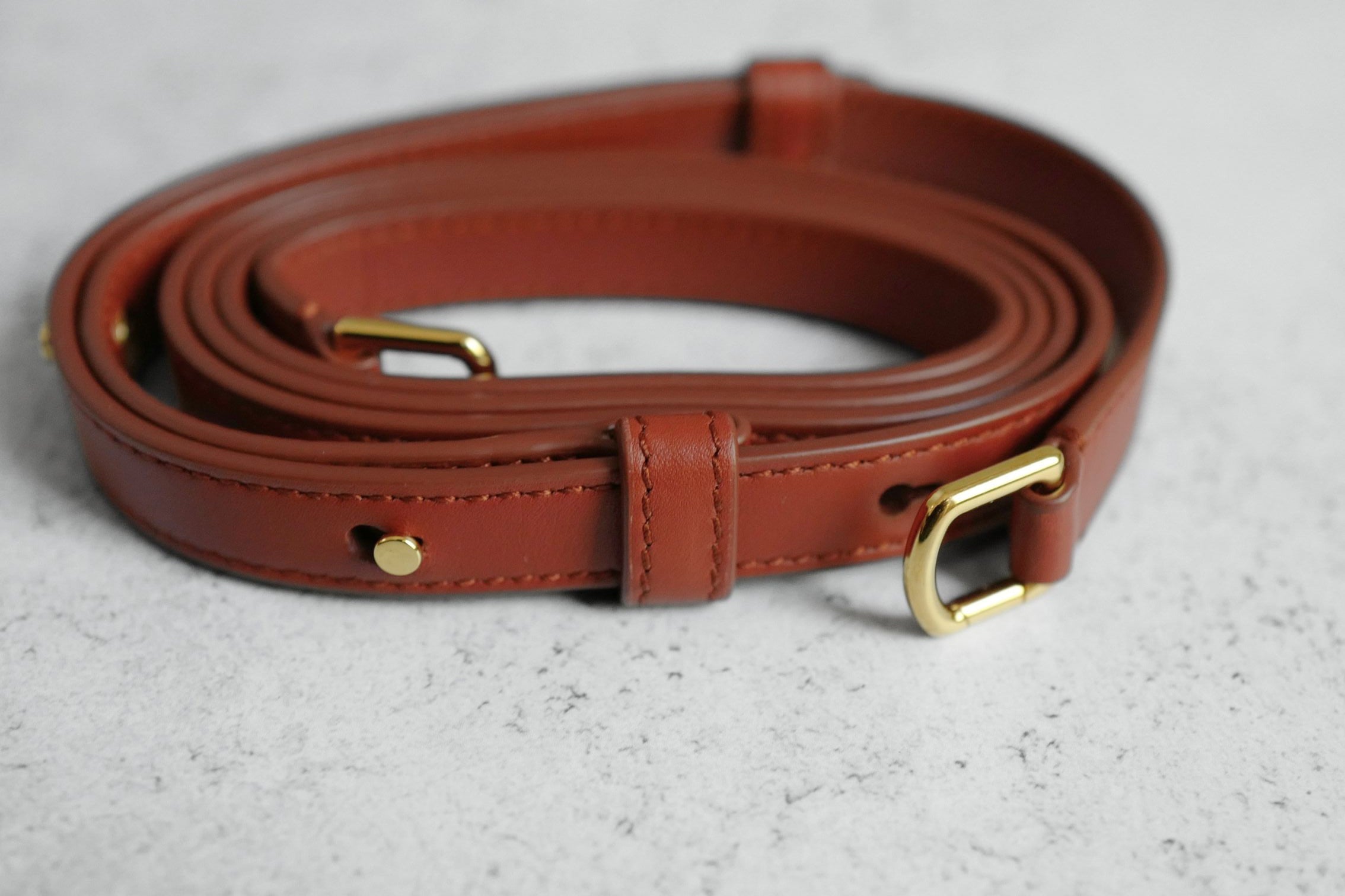 Loro Piana Extra Pocket L19 Limited Deep Kummel/Sun Gold Calfskin Gold Hardware