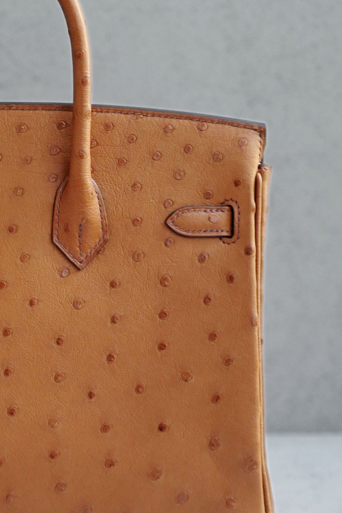 Hermès Birkin 25 Cognac Ostrich Leather Gold Hardware G Stamp 2026