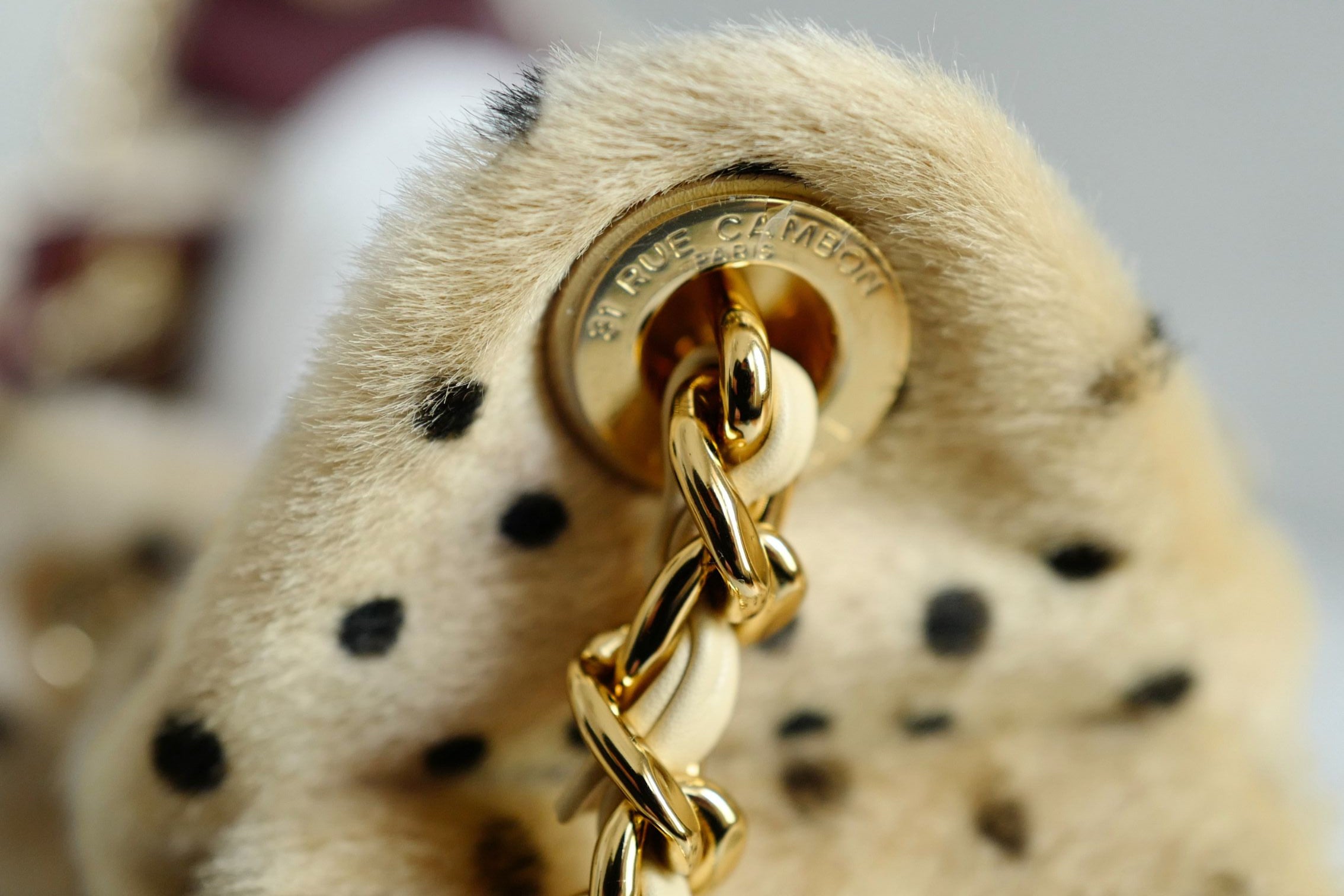 Chanel 26A Mini Hobo Leopard Matthieu Blazy Light Beige & Black GHW