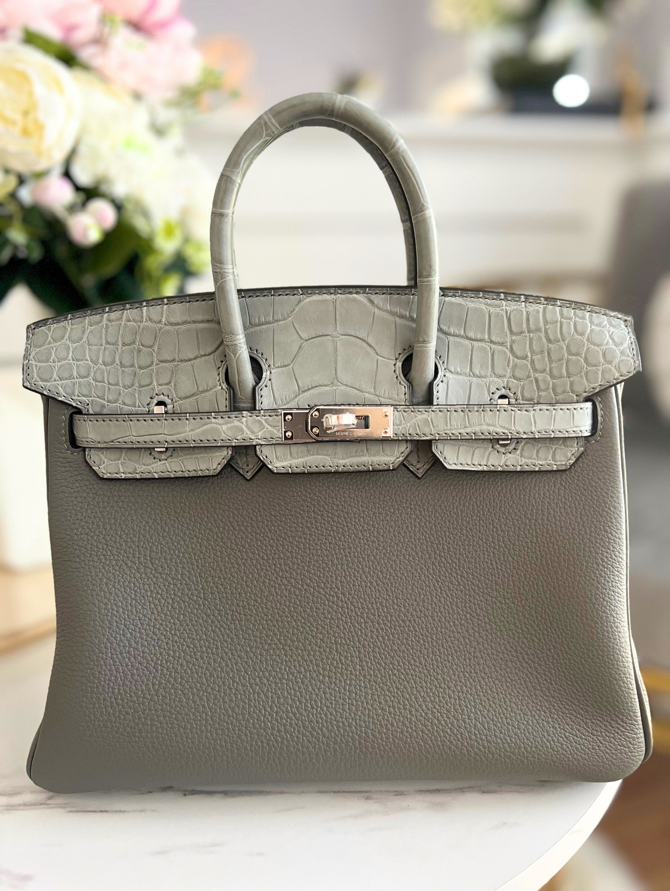 NEW Hermes Birkin 25 Touch Gris Meyer Palladium Hardware B Stamp 2023