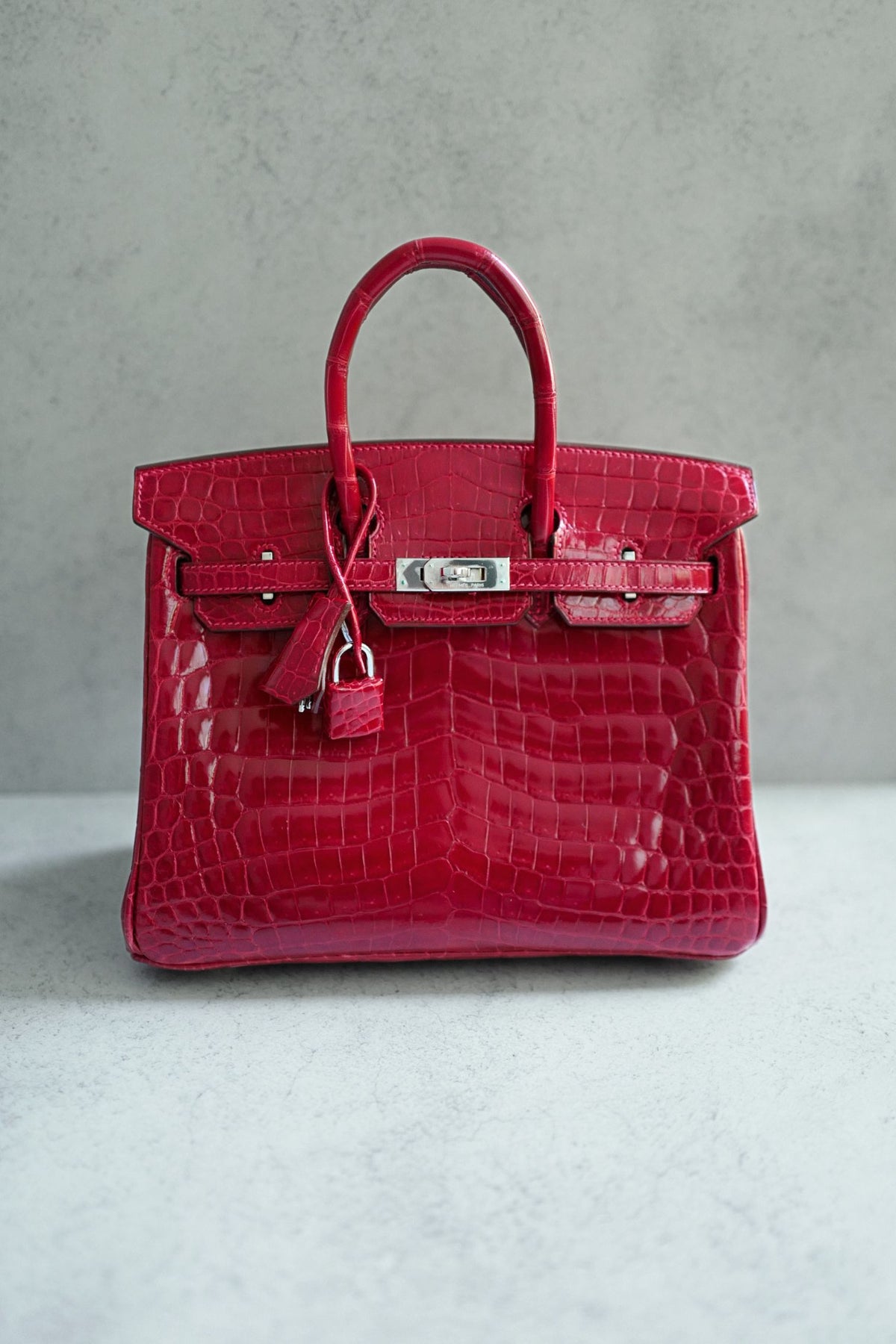 Hermes Birkin 25 Braise Shiny Niloticus Crocodile Palladium Hardware