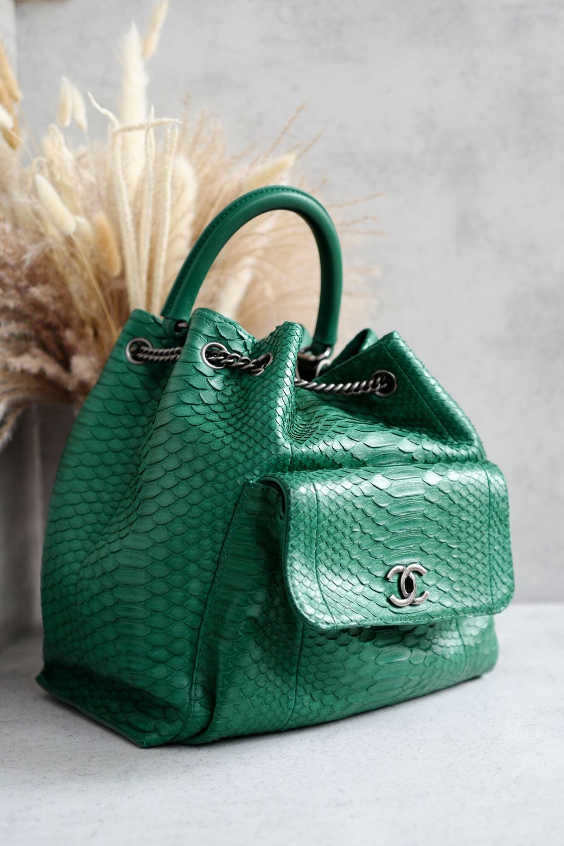 Chanel Gabrielle Backpack Drawstring bag In Phyton Exotic Rare Limited Edition