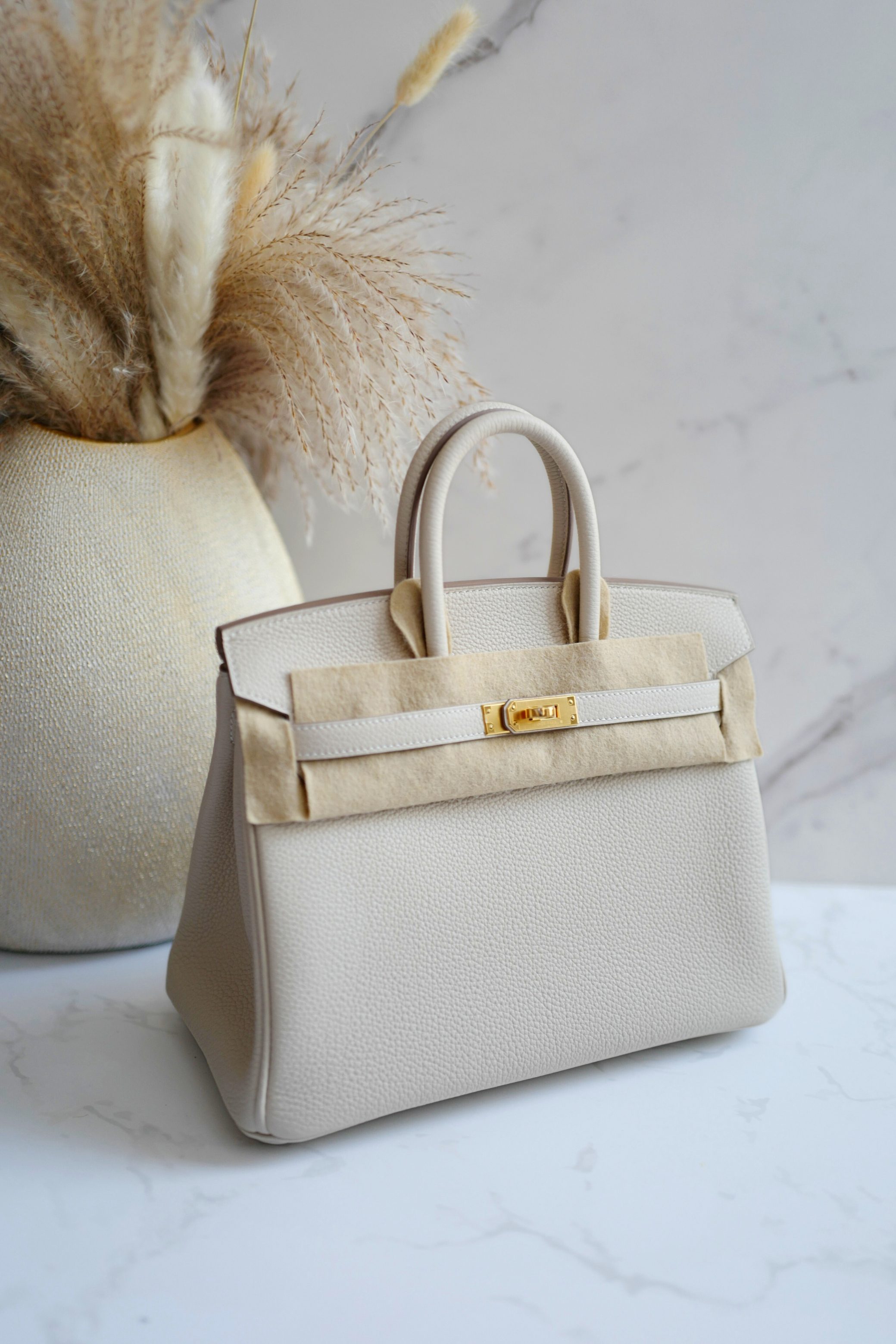 BNIB Hermès Birkin 25 Bag Craie Togo Leather with Gold Hardware