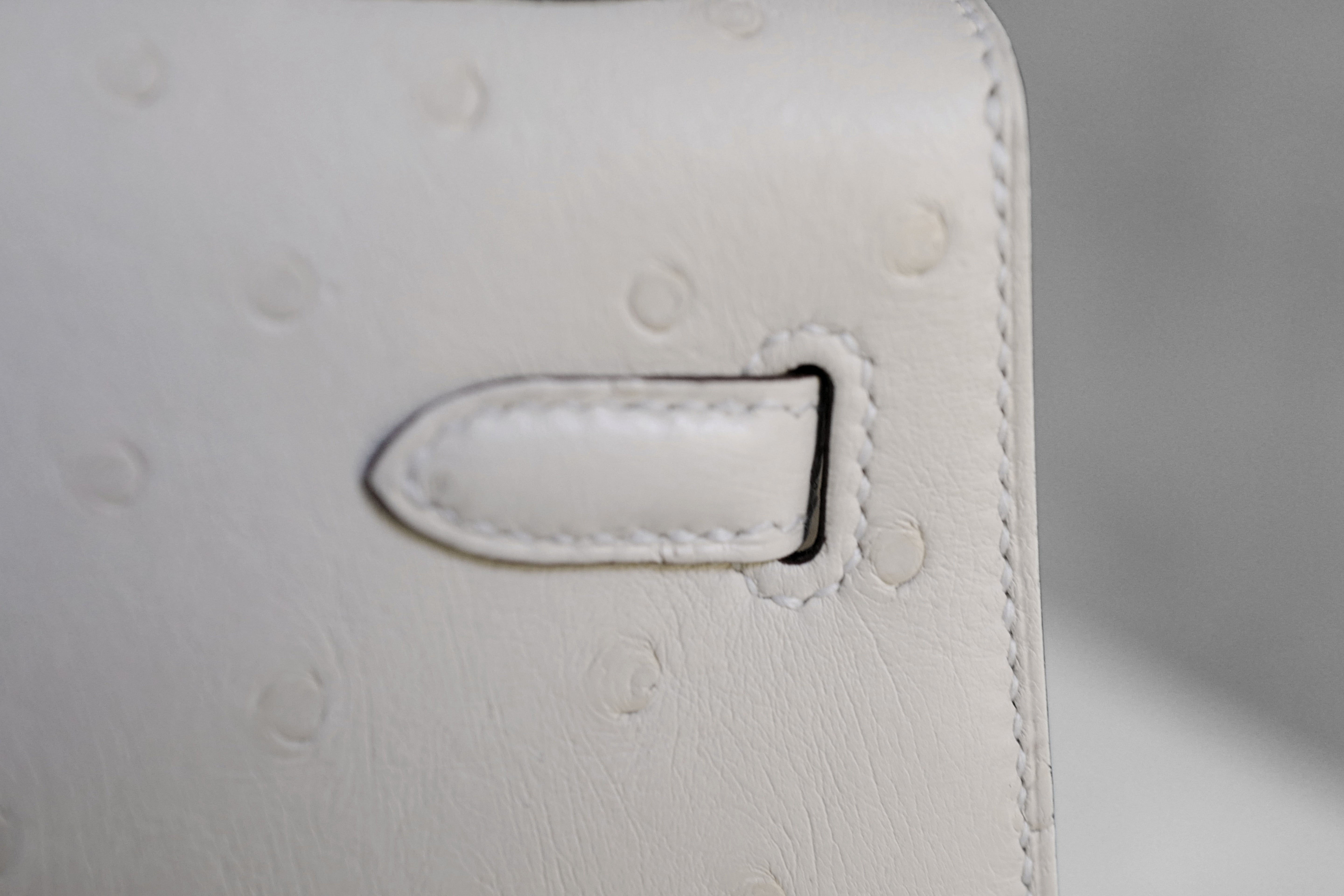 Hermès Kelly II 25 Nata Ostrich Sellier Boréale Gold Hardware G Stamp 2026