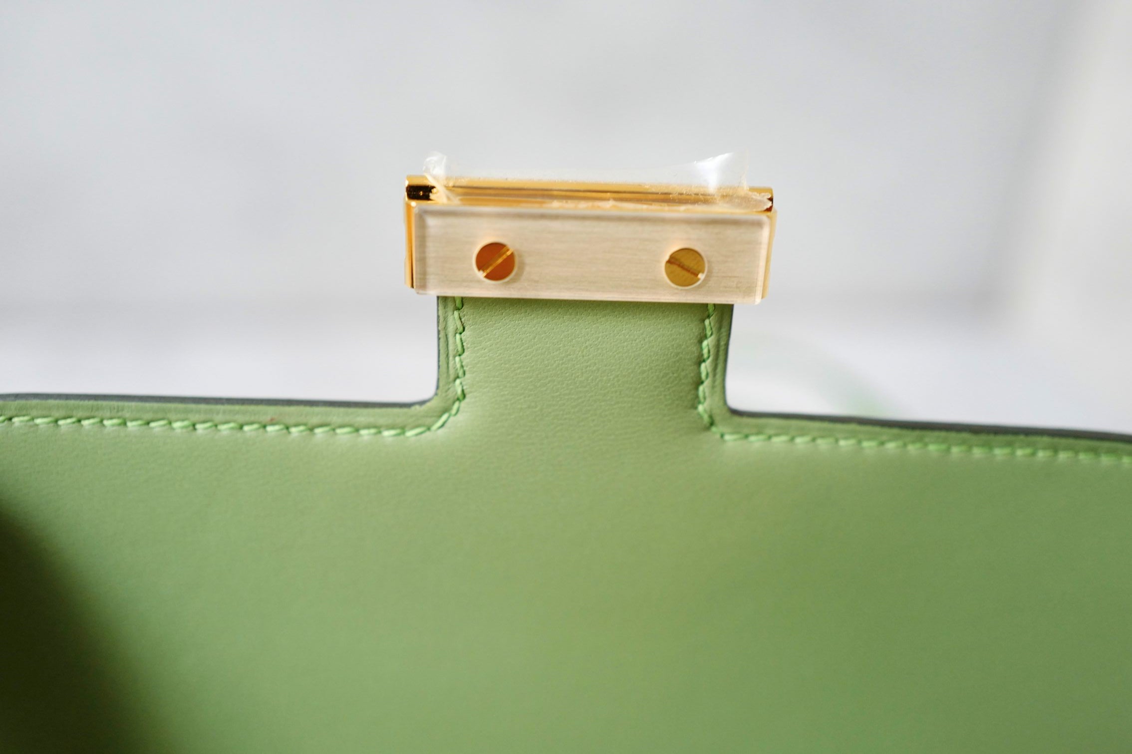 Hermes Constance 18 Vert Criquet Epsom Leather Bag Exotic Buckle GHW