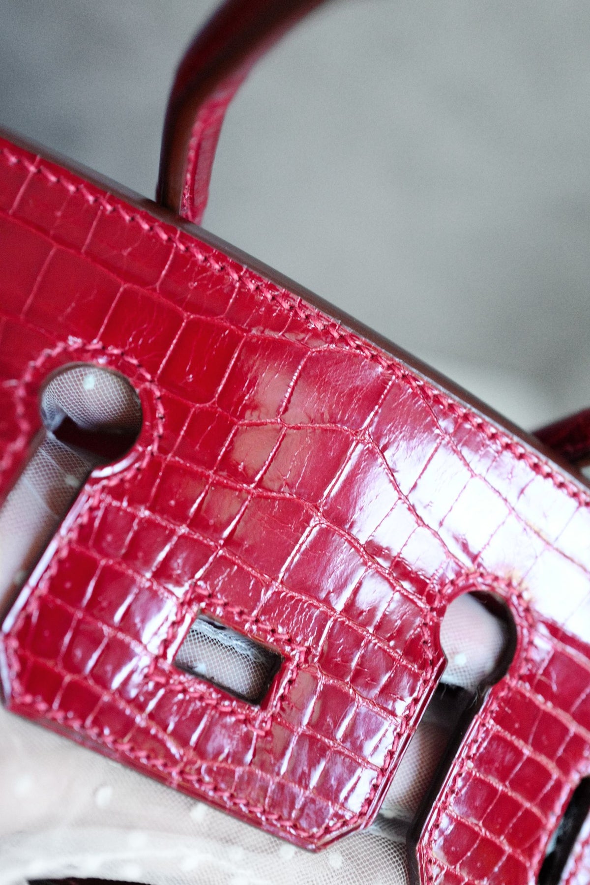 Hermes Birkin 25 Braise Shiny Niloticus Crocodile Palladium Hardware