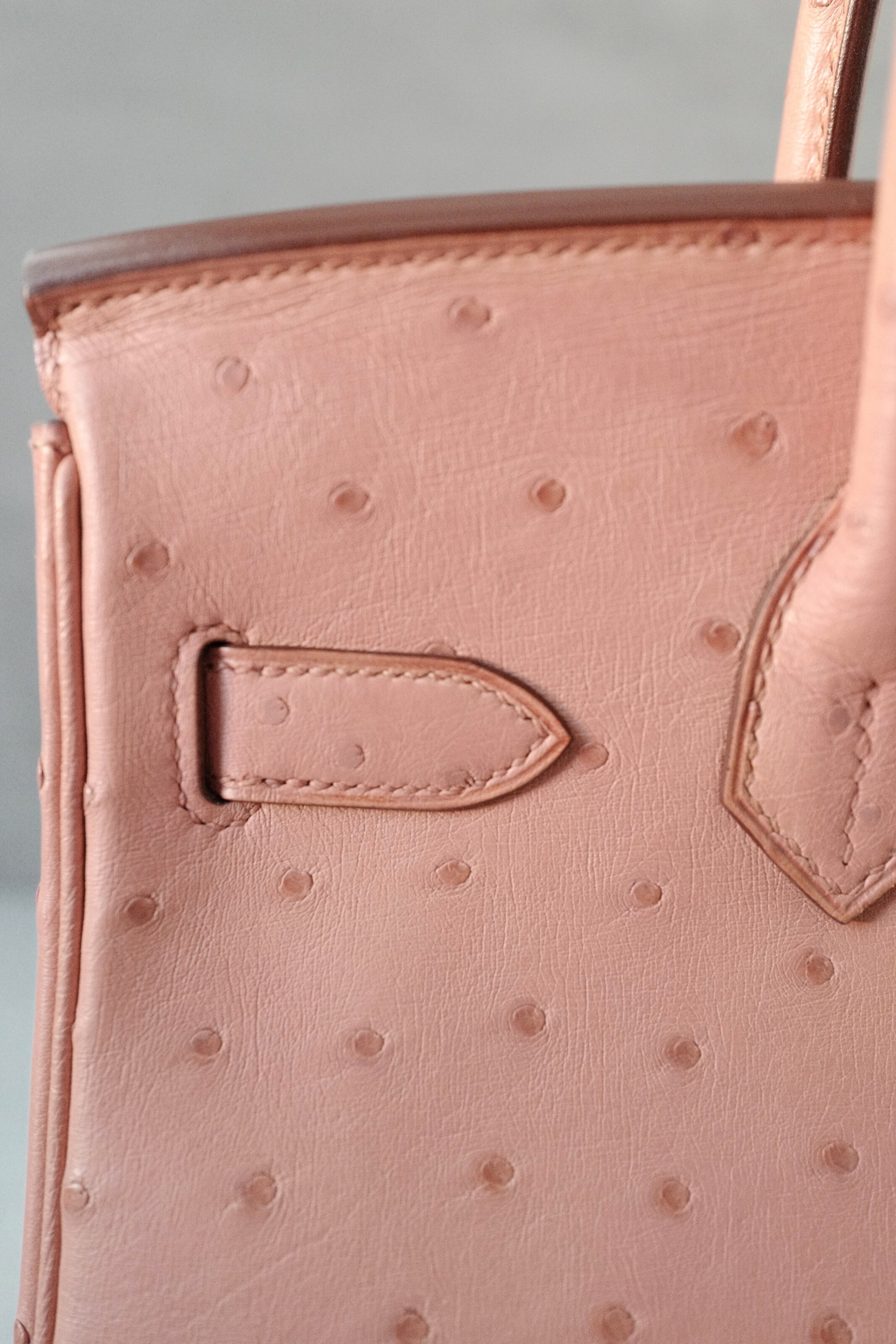 Hermès Birkin 30 Bag in Terre Cuite Ostrich with Gold Tone Hardware