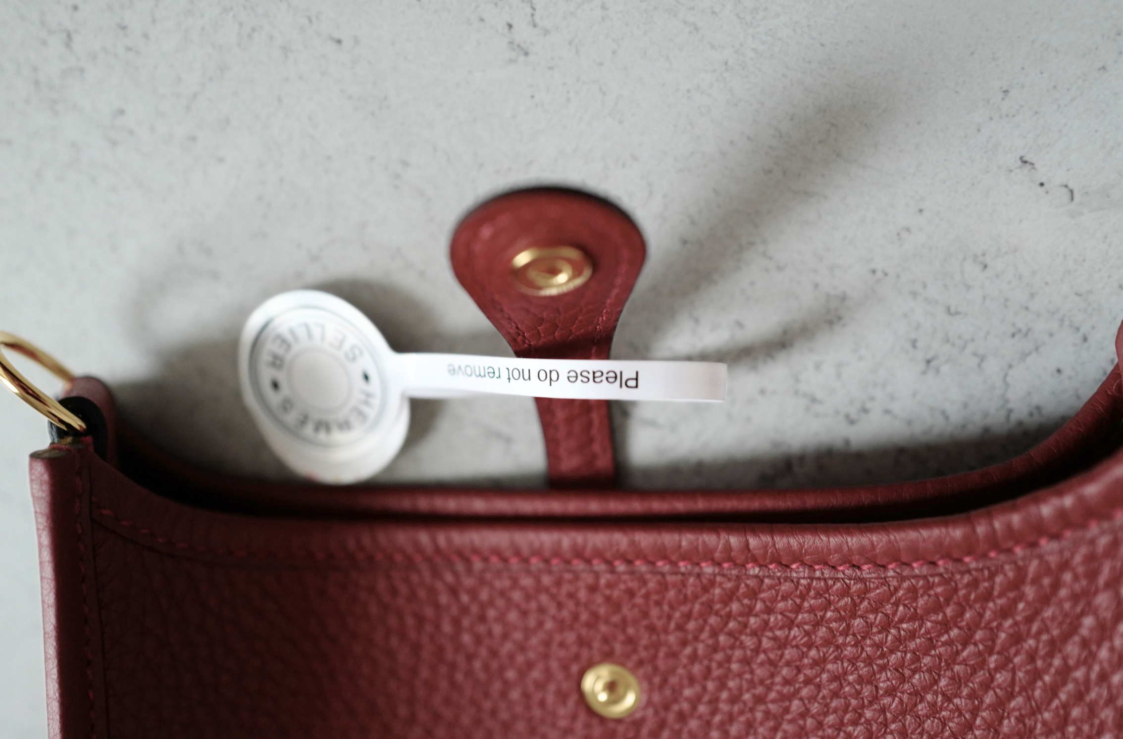 Hermès Mini Evelyne TPM Bag in Rouge H Clemence Leather with Gold Hardware