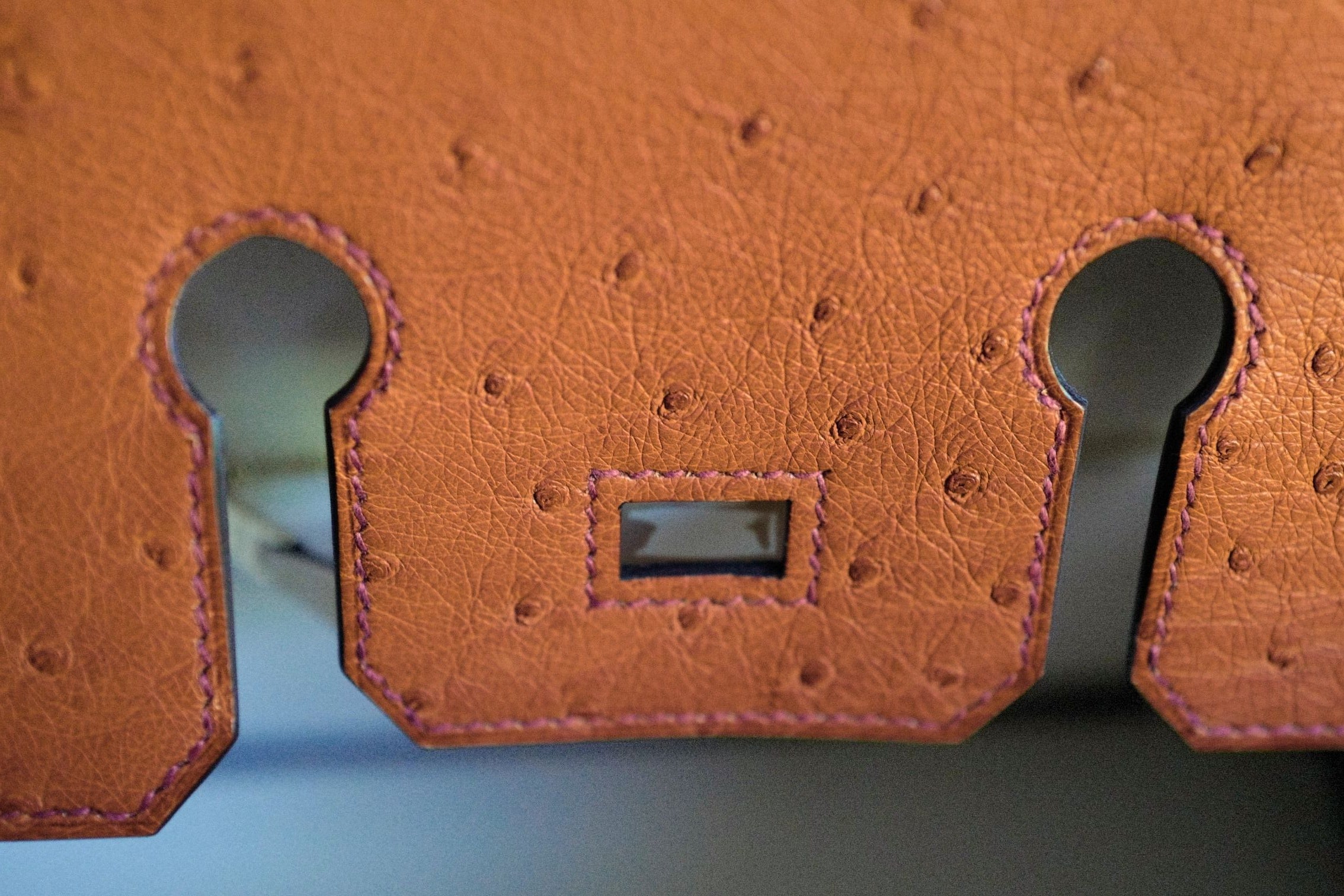 Hermès Birkin 25 Cognac Ostrich Leather Gold Hardware G Stamp 2026