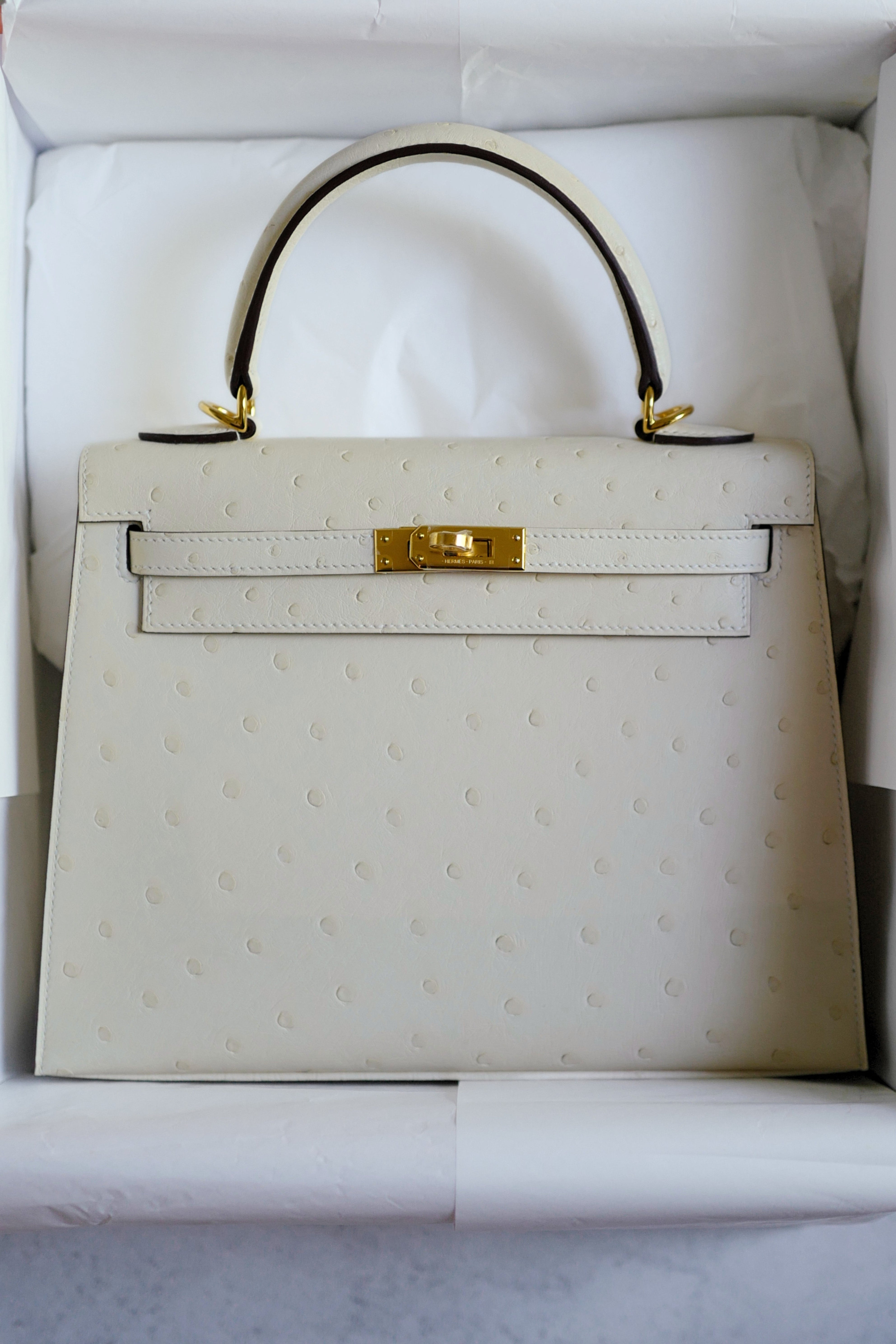 Hermès Kelly II 25 Nata Ostrich Sellier Boréale Gold Hardware G Stamp 2026