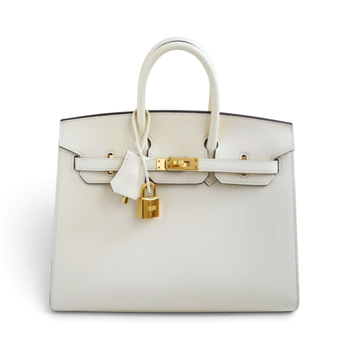 Hermes Birkin 25 Nata Epsom Sellier Gold Hardware