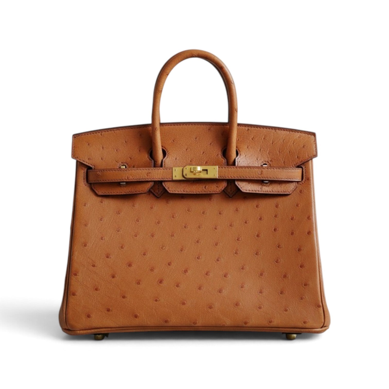 Hermès Birkin 25 Cognac Ostrich Leather Gold Hardware G Stamp 2026