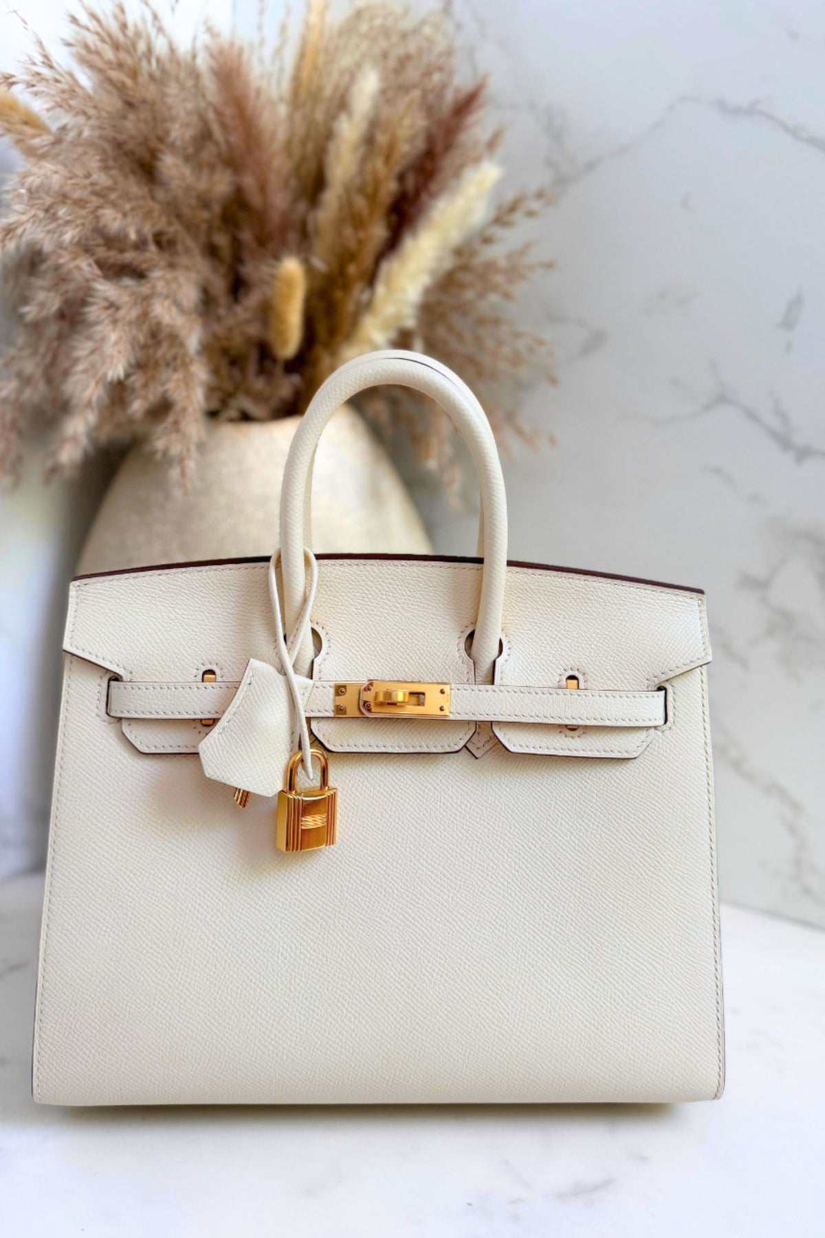 Hermes Birkin 25 Nata Epsom Sellier Gold Hardware
