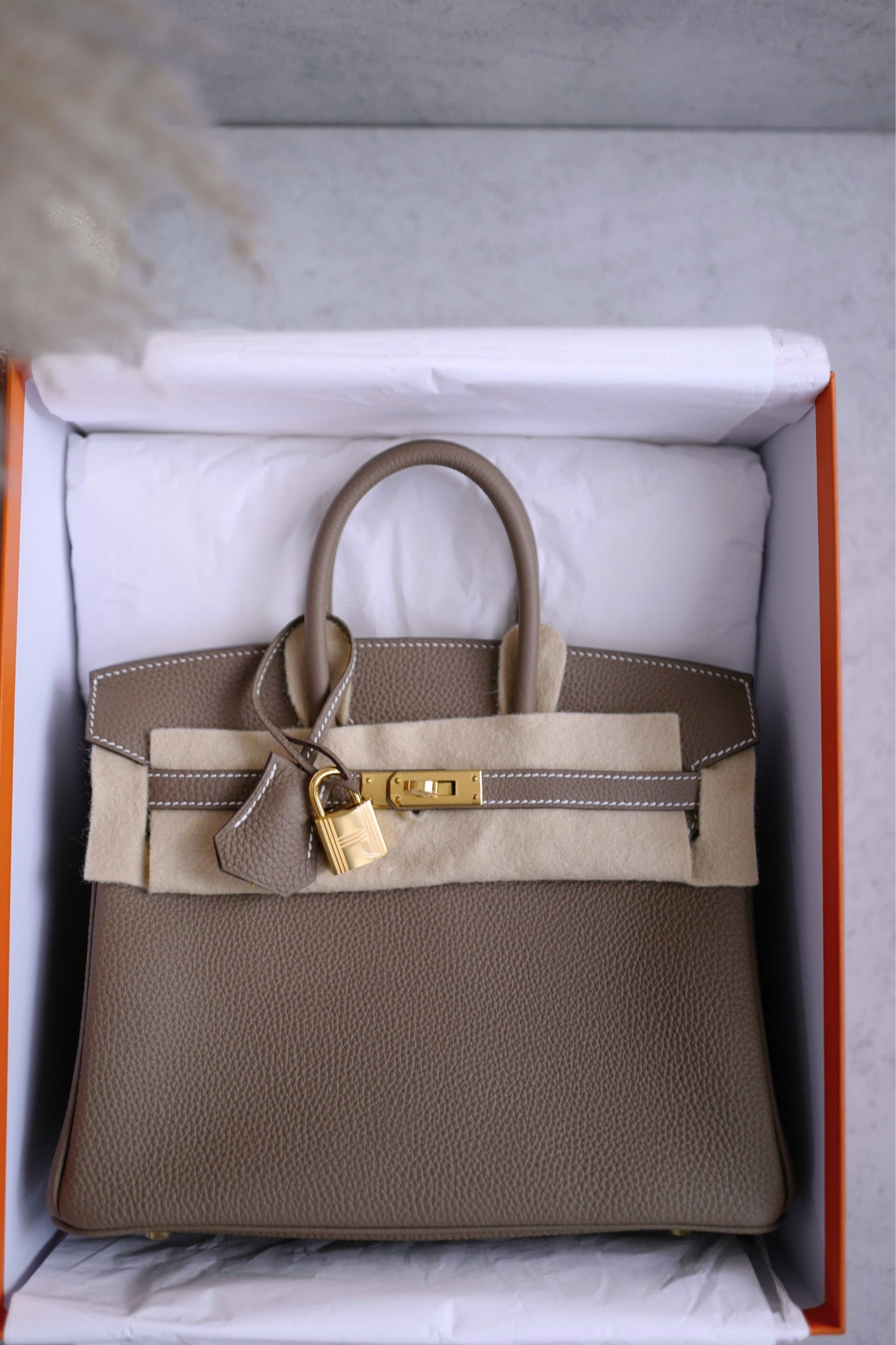BNIB Hermès Birkin 25 Togo Etoupe Gold Hardware Stamp 2025
