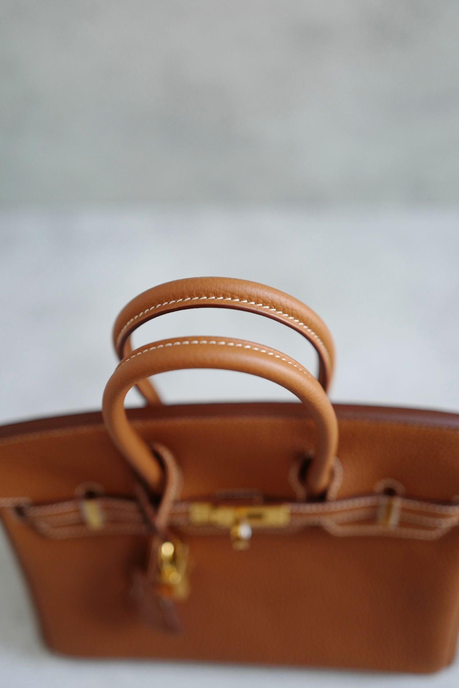 NEW Hermes Birkin 25 Gold Togo Leather Gold Hardware G Stamp 2026