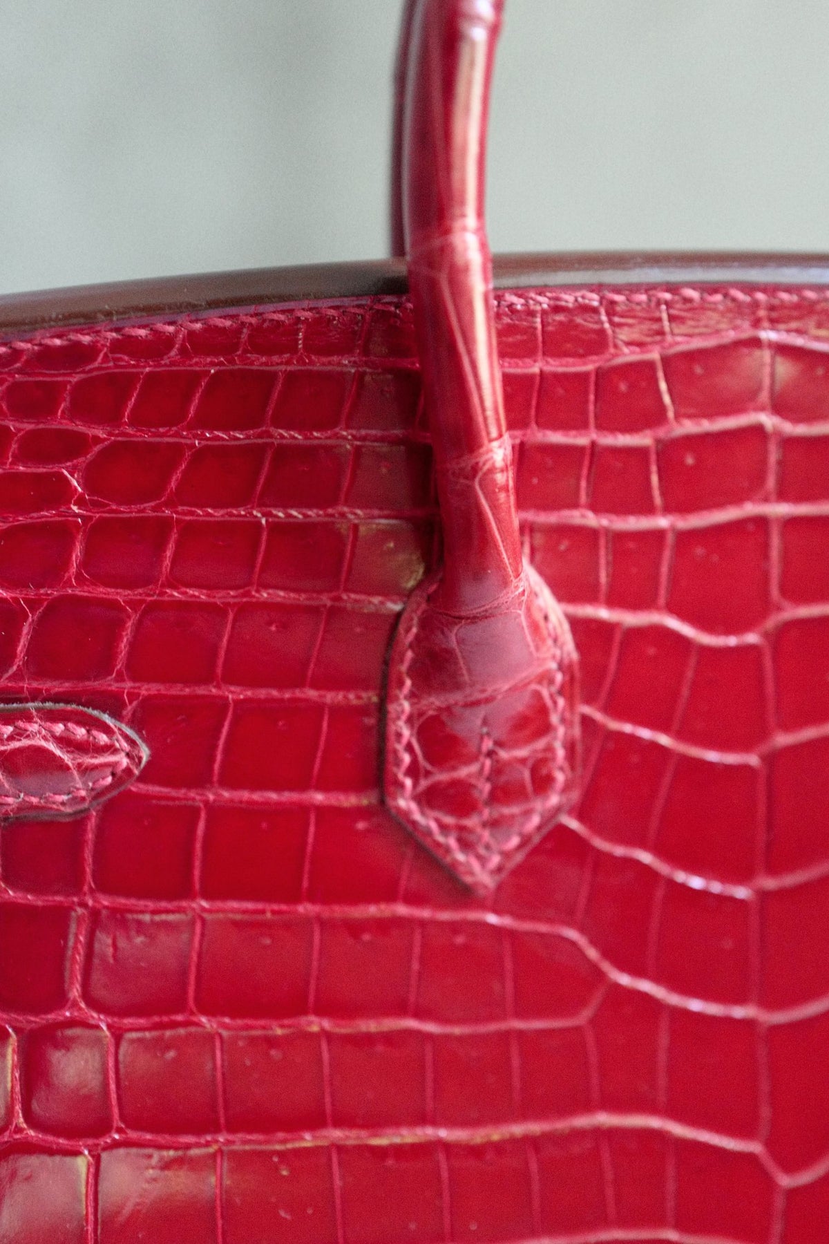 Hermes Birkin 25 Braise Shiny Niloticus Crocodile Palladium Hardware
