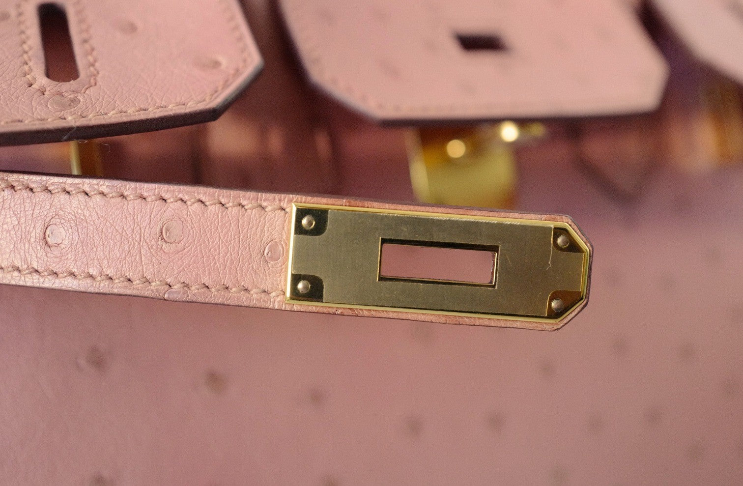 Hermès Birkin 30 Bag in Terre Cuite Ostrich with Gold Tone Hardware