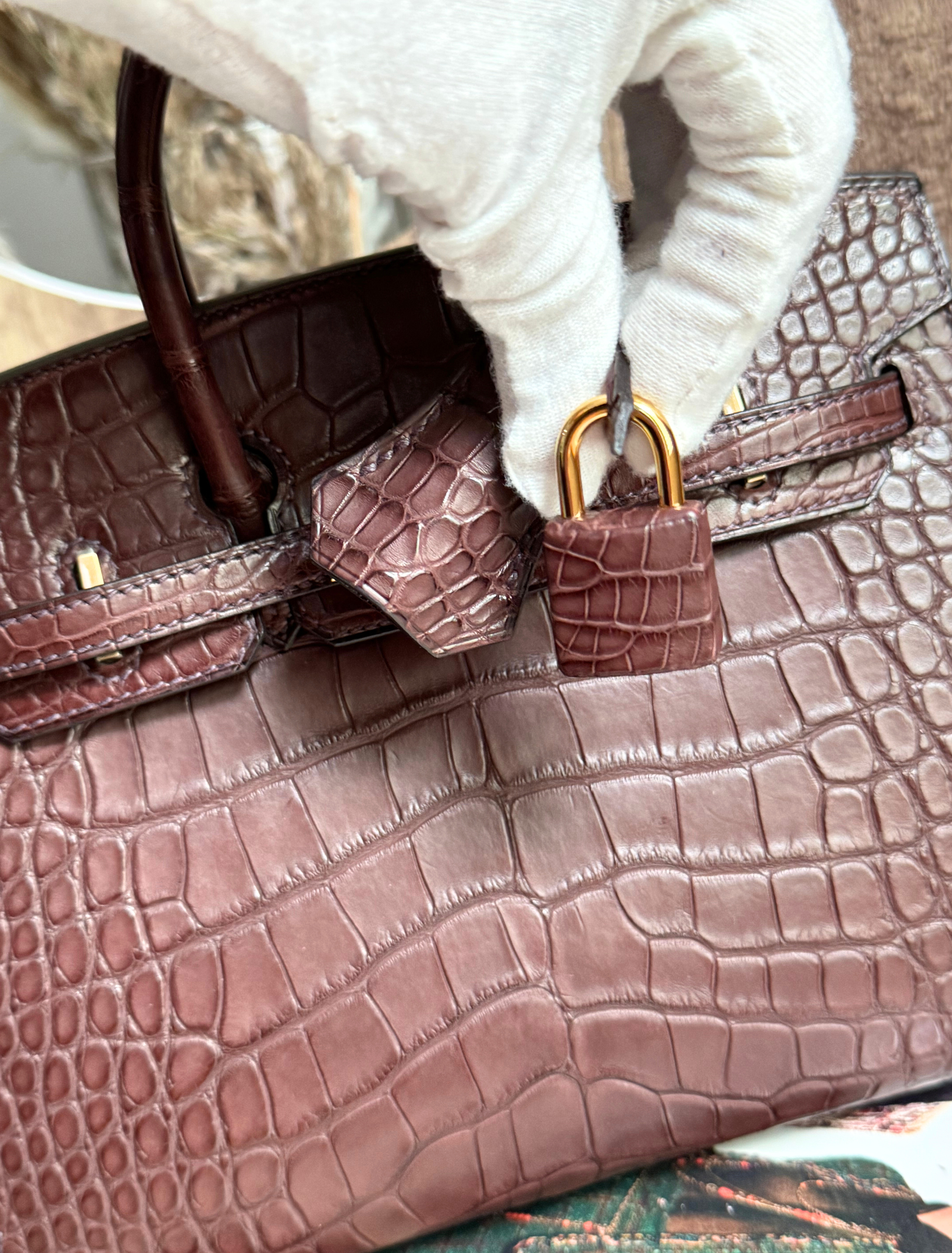 Hermès Birkin 20 Havane Matte Alligator Gold Hardware NEW