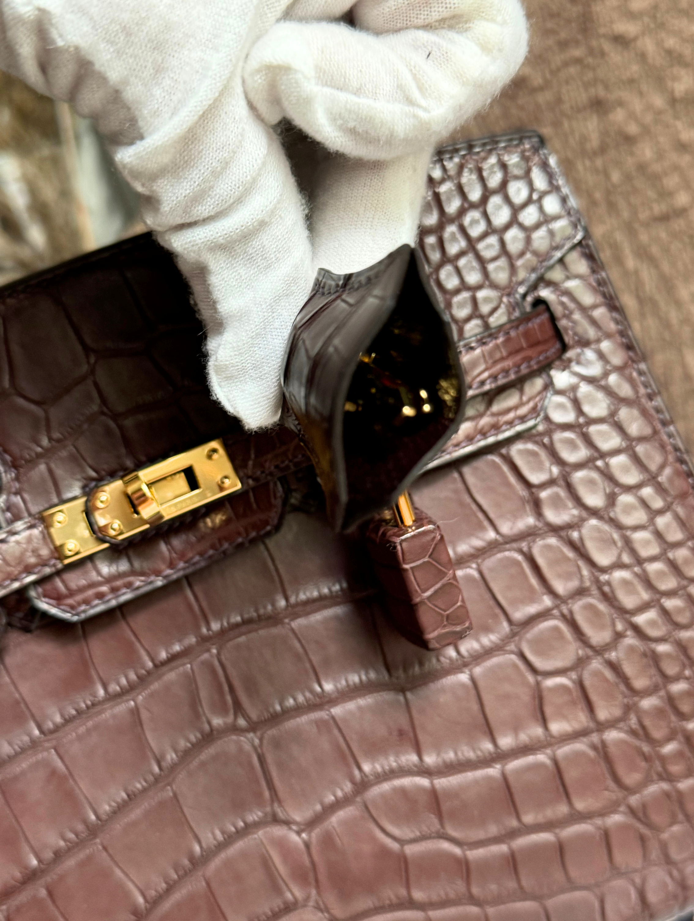 Hermès Birkin 20 Havane Matte Alligator Gold Hardware NEW