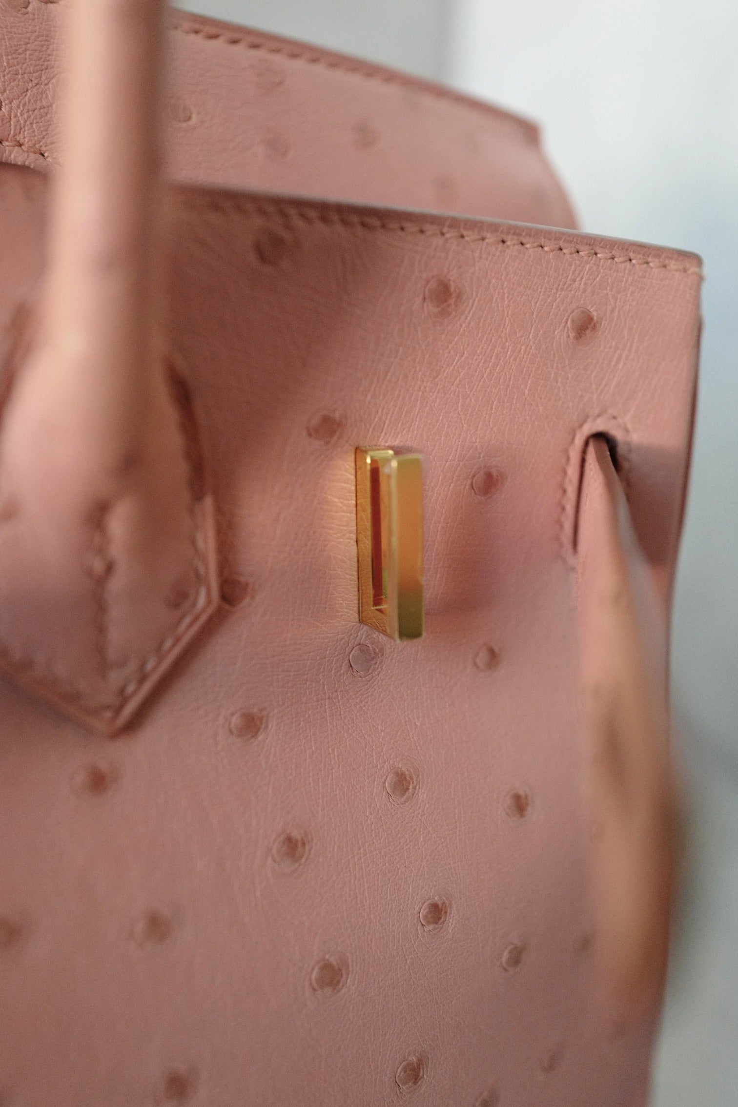 Hermès Birkin 30 Bag in Terre Cuite Ostrich with Gold Tone Hardware