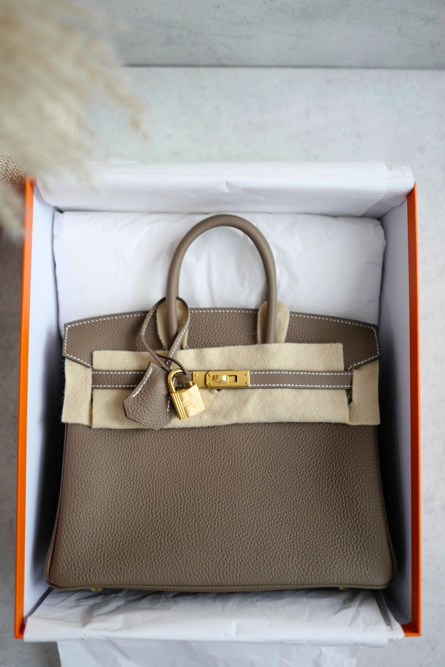 BNIB Hermes Birkin 25 Etoupe Togo Leather Gold Hardware G Stamp 2026