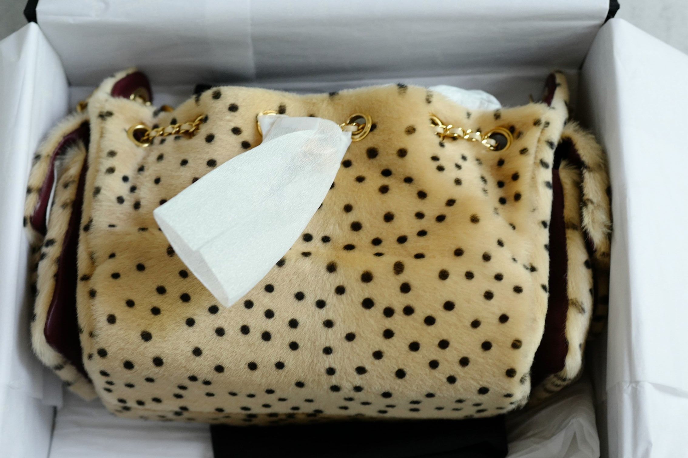 Chanel 26A Mini Hobo Leopard Matthieu Blazy Light Beige & Black GHW