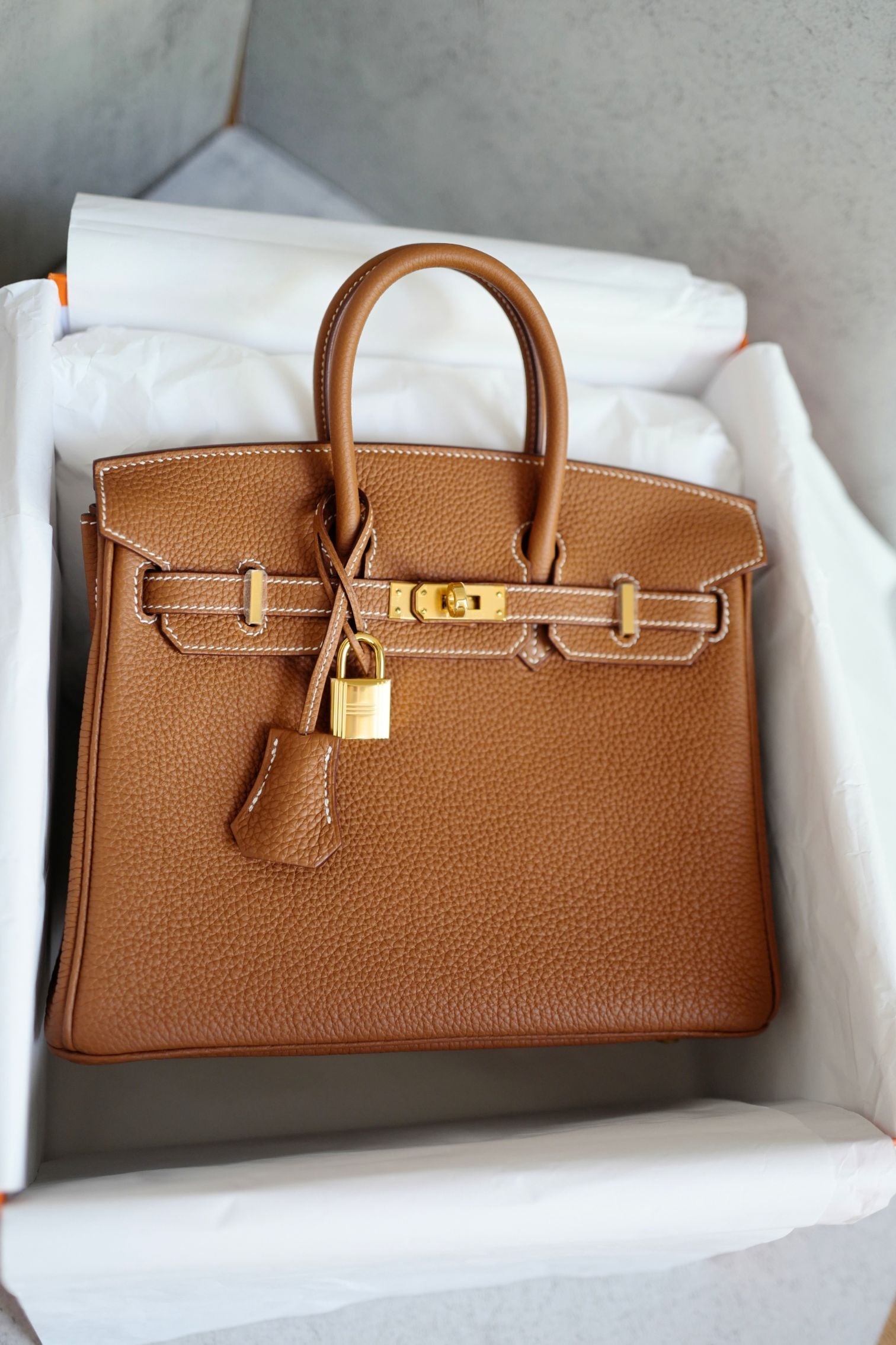 NEW Hermes Birkin 25 Gold Togo Leather Gold Hardware G Stamp 2026