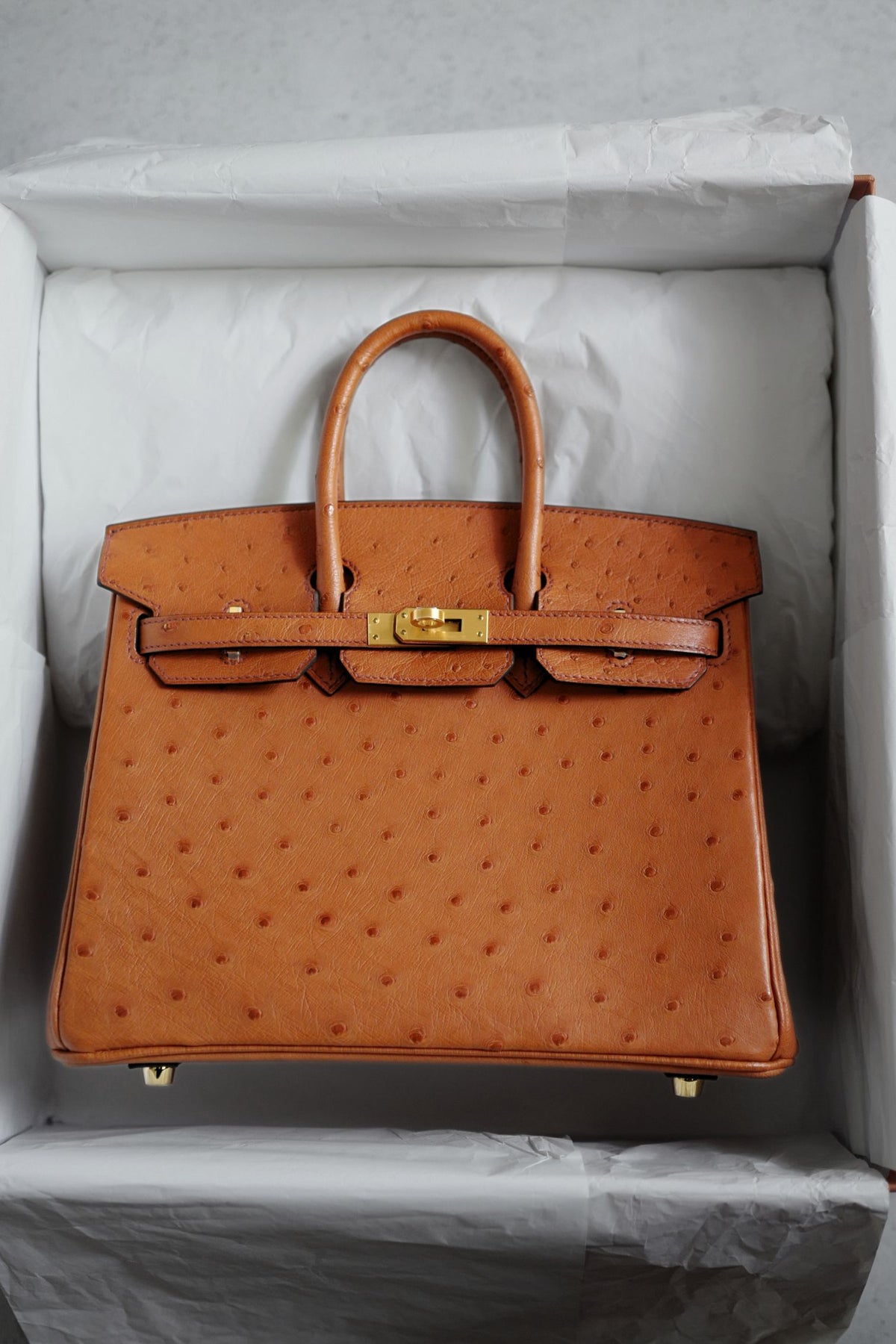 Hermès Birkin 25 Cognac Ostrich Leather Gold Hardware G Stamp 2026