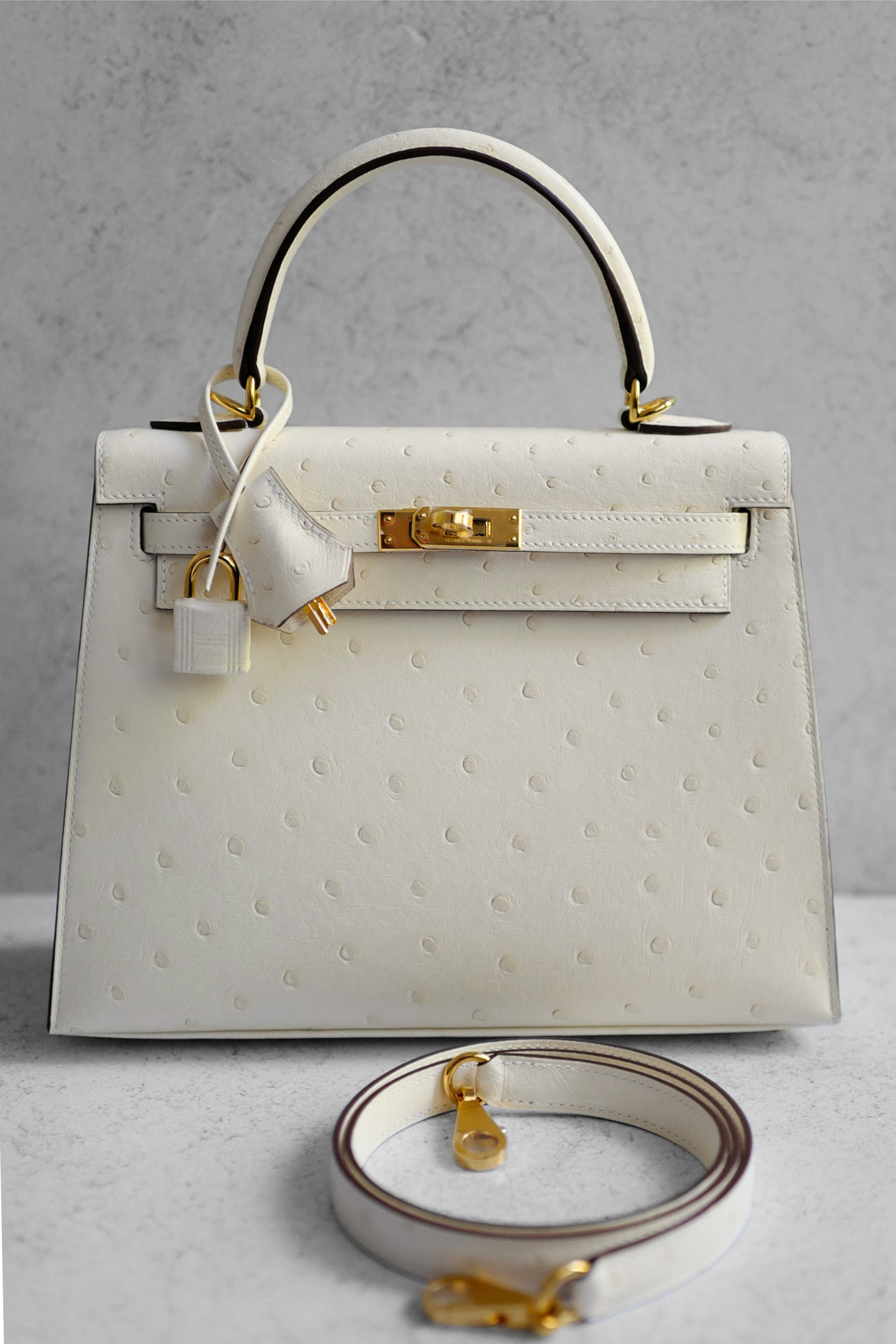 Hermès Kelly II 25 Nata Ostrich Sellier Boréale Gold Hardware G Stamp 2026