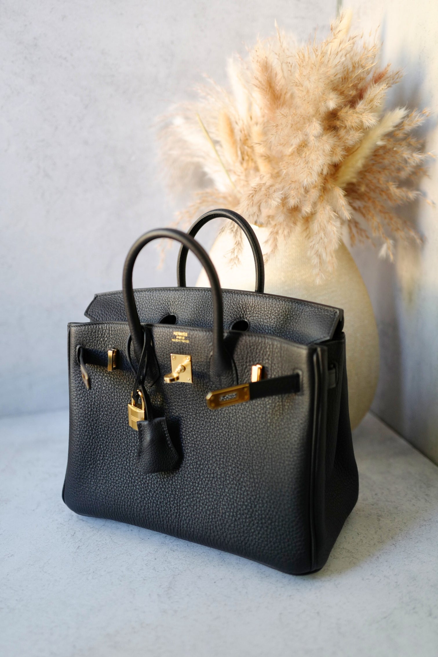 Hermès Birkin 25 Black Togo Leather with Gold Hardware 2025