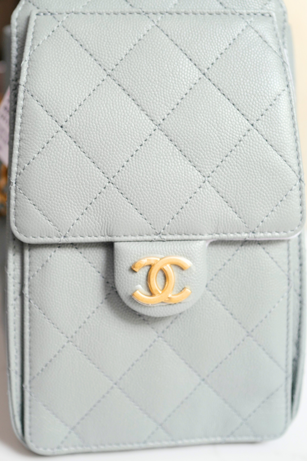 NEW CHANEL Spring-Summer 2025 25S Small Hobo Bag Grained Calfskin Light Green