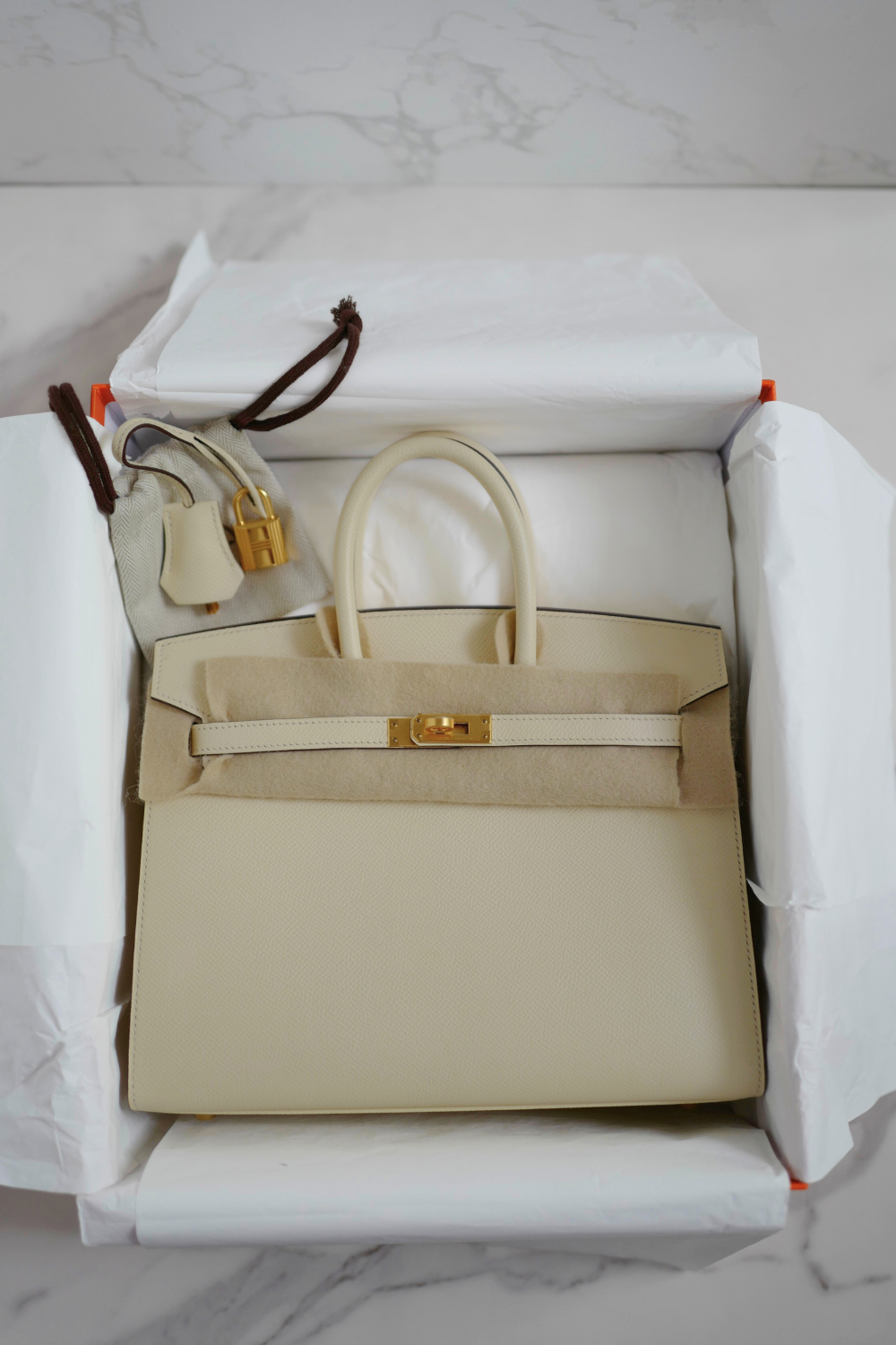 Hermes Birkin 25 Nata Epsom Sellier Gold Hardware Z Complete 2021