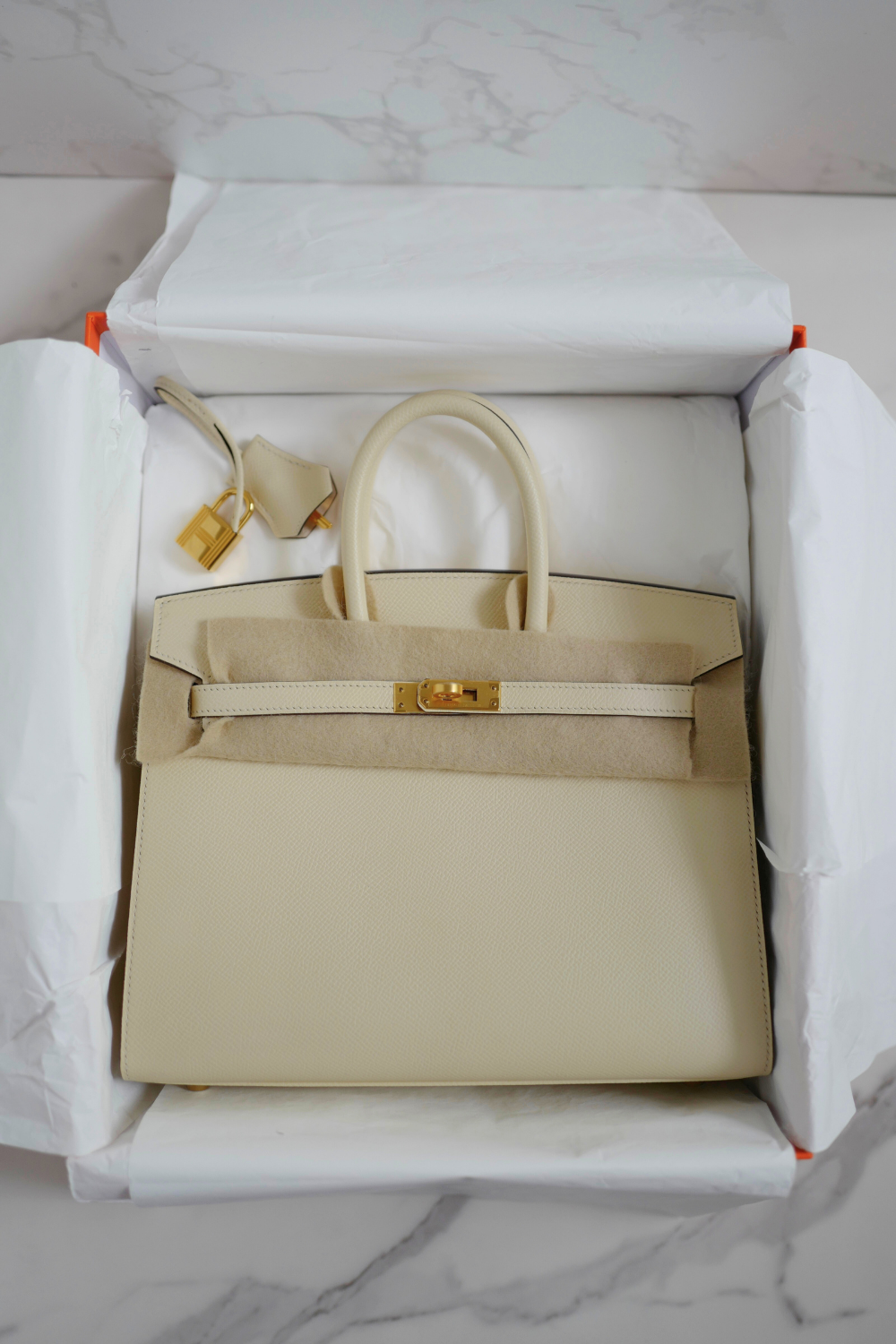 Hermes Birkin 25 Nata Epsom Sellier Gold Hardware Z Complete 2021