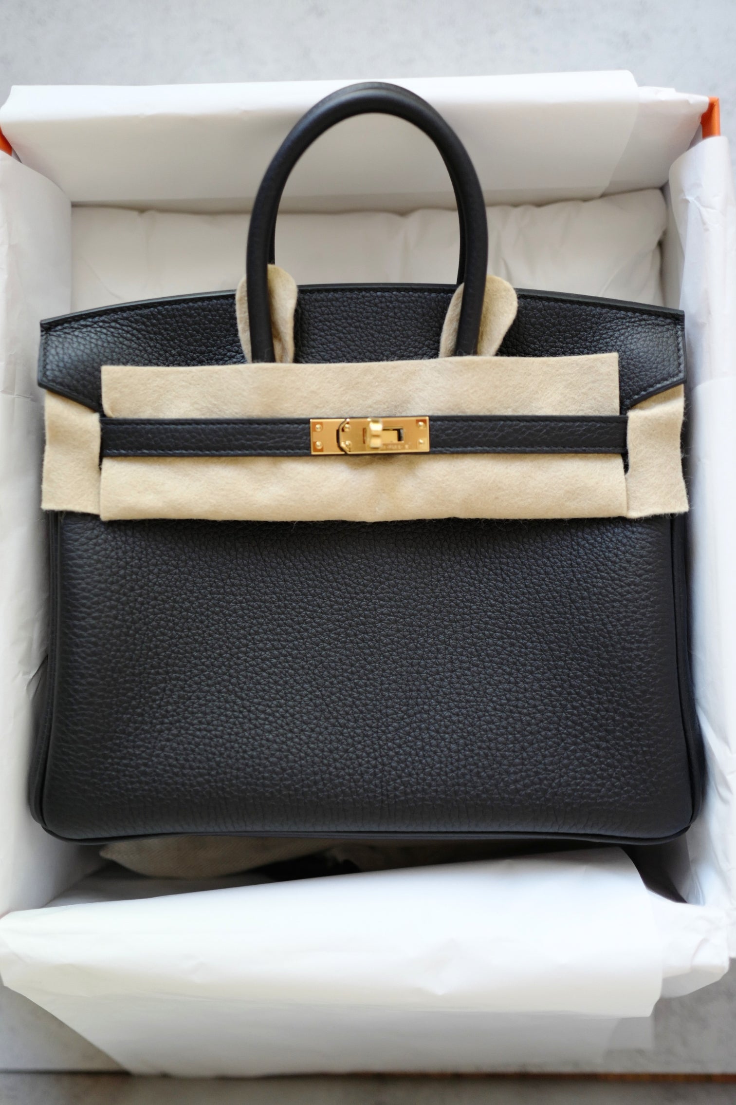 Hermès Birkin 25 Black Togo Leather with Gold Hardware 2025