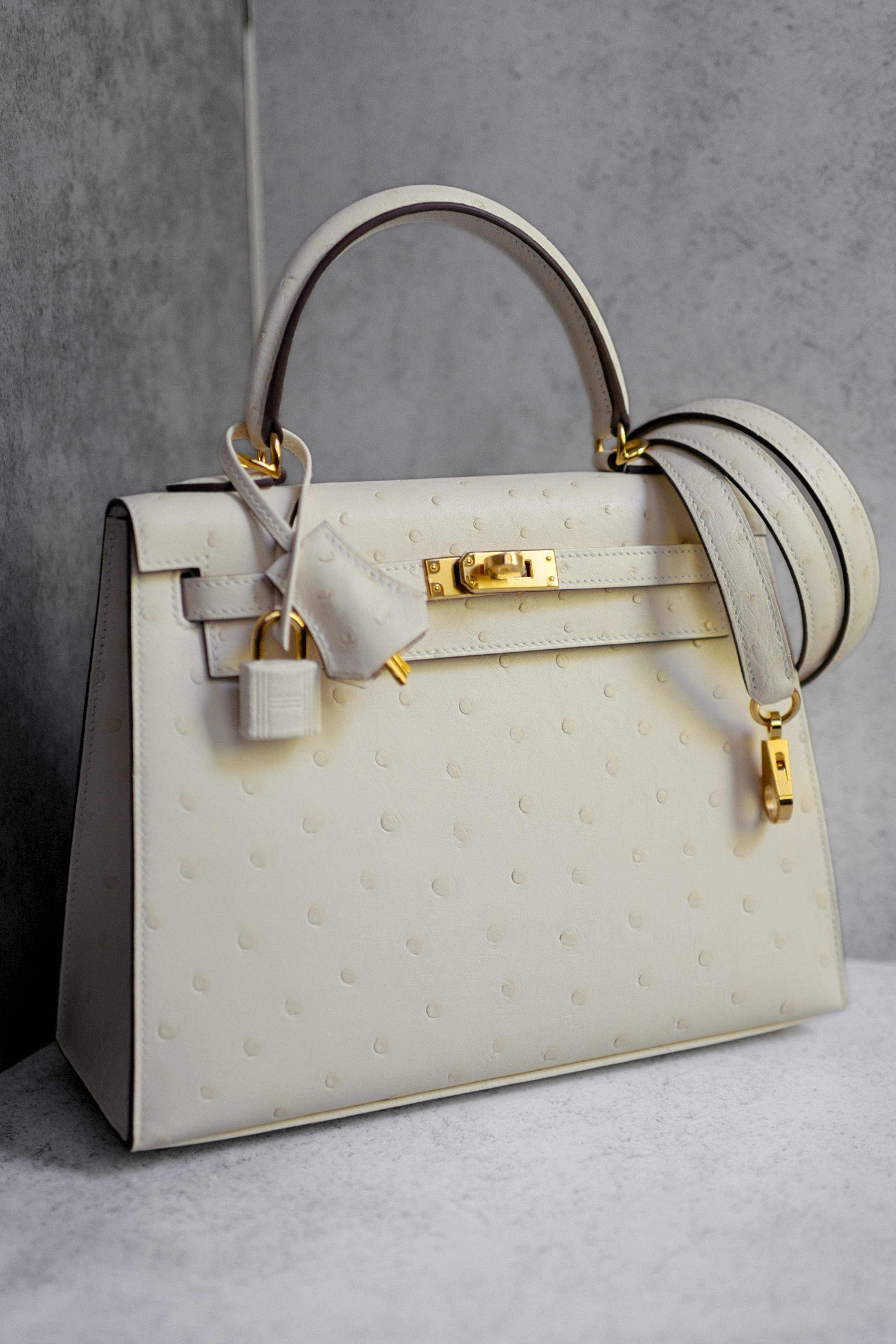 Hermès Kelly II 25 Nata Ostrich Sellier Boréale Gold Hardware G Stamp 2026