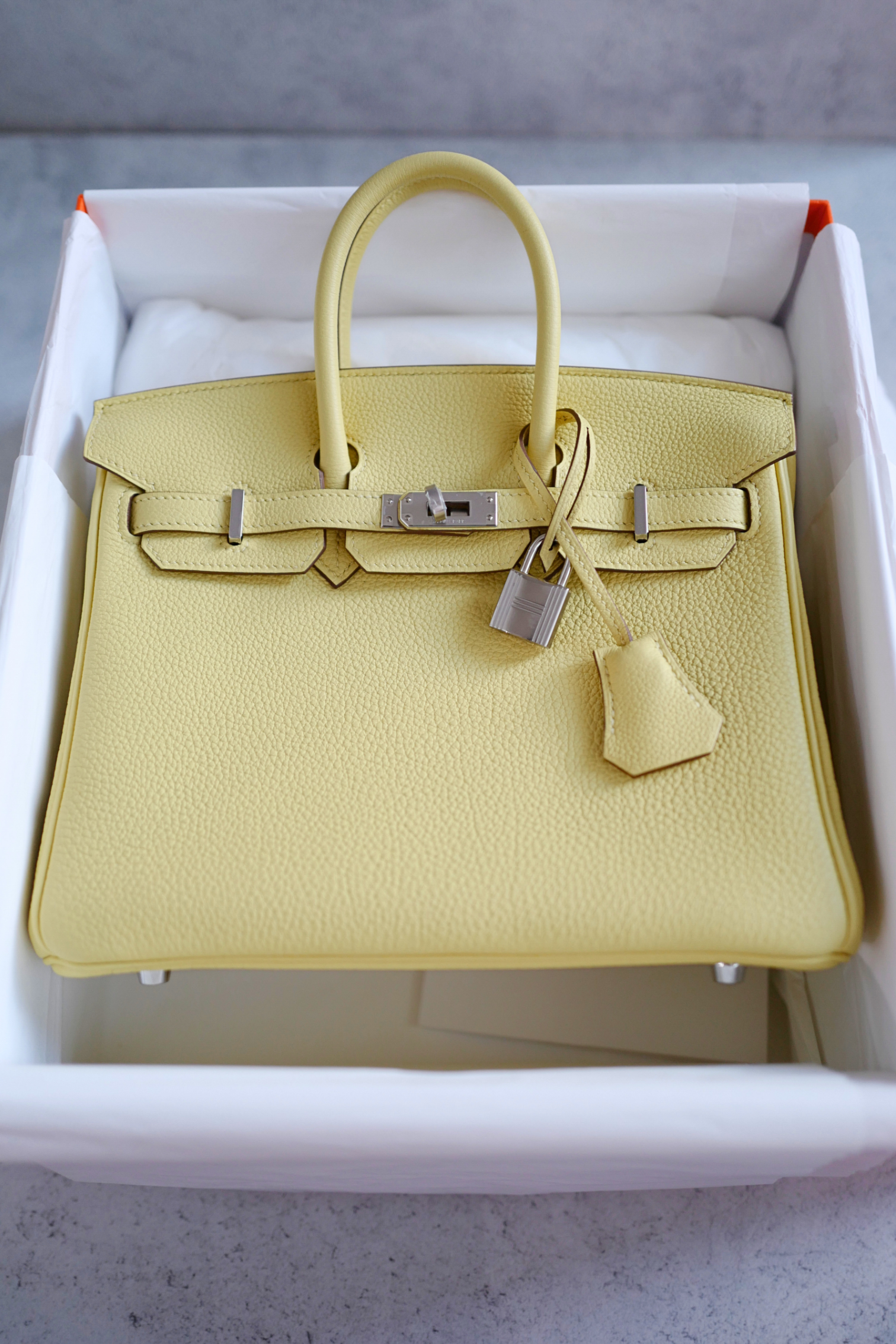 BNIB Hermès Birkin 25 Bag Jaune Poussin Togo Leather Palladium Hardware Stamp W