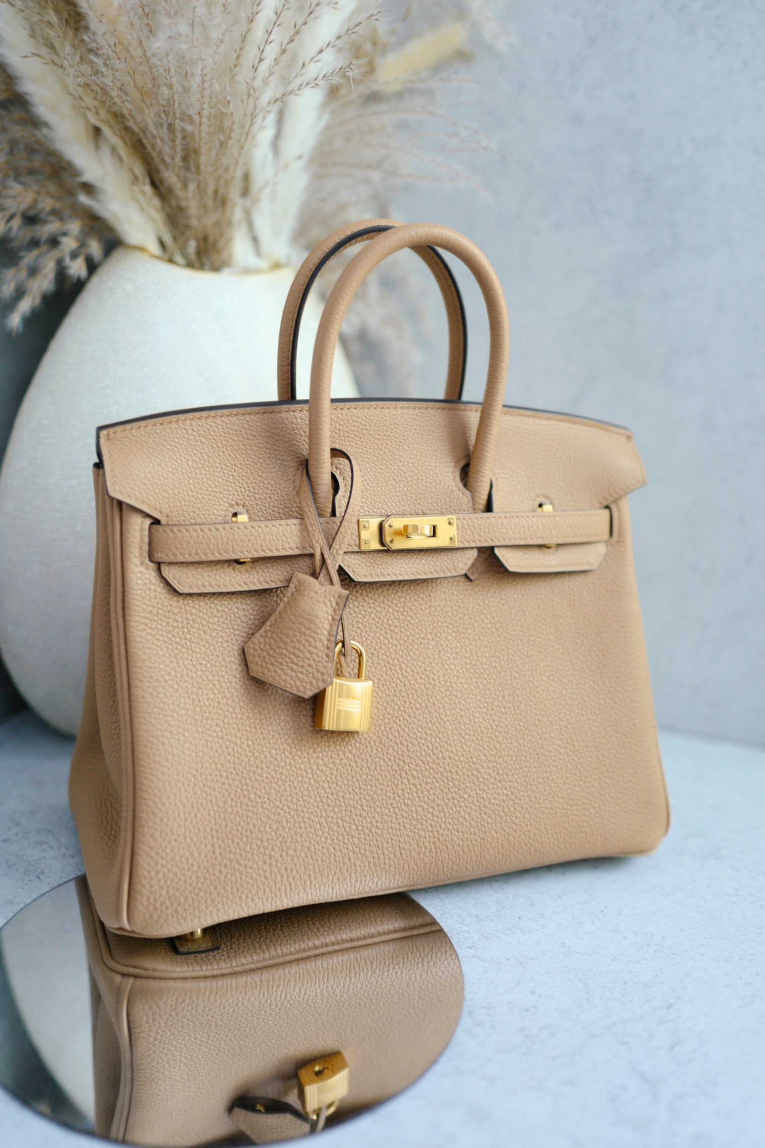 BNIB Hermès Birkin 25 Bag Chai Togo Leather with Gold Hardware Stamp U 2023