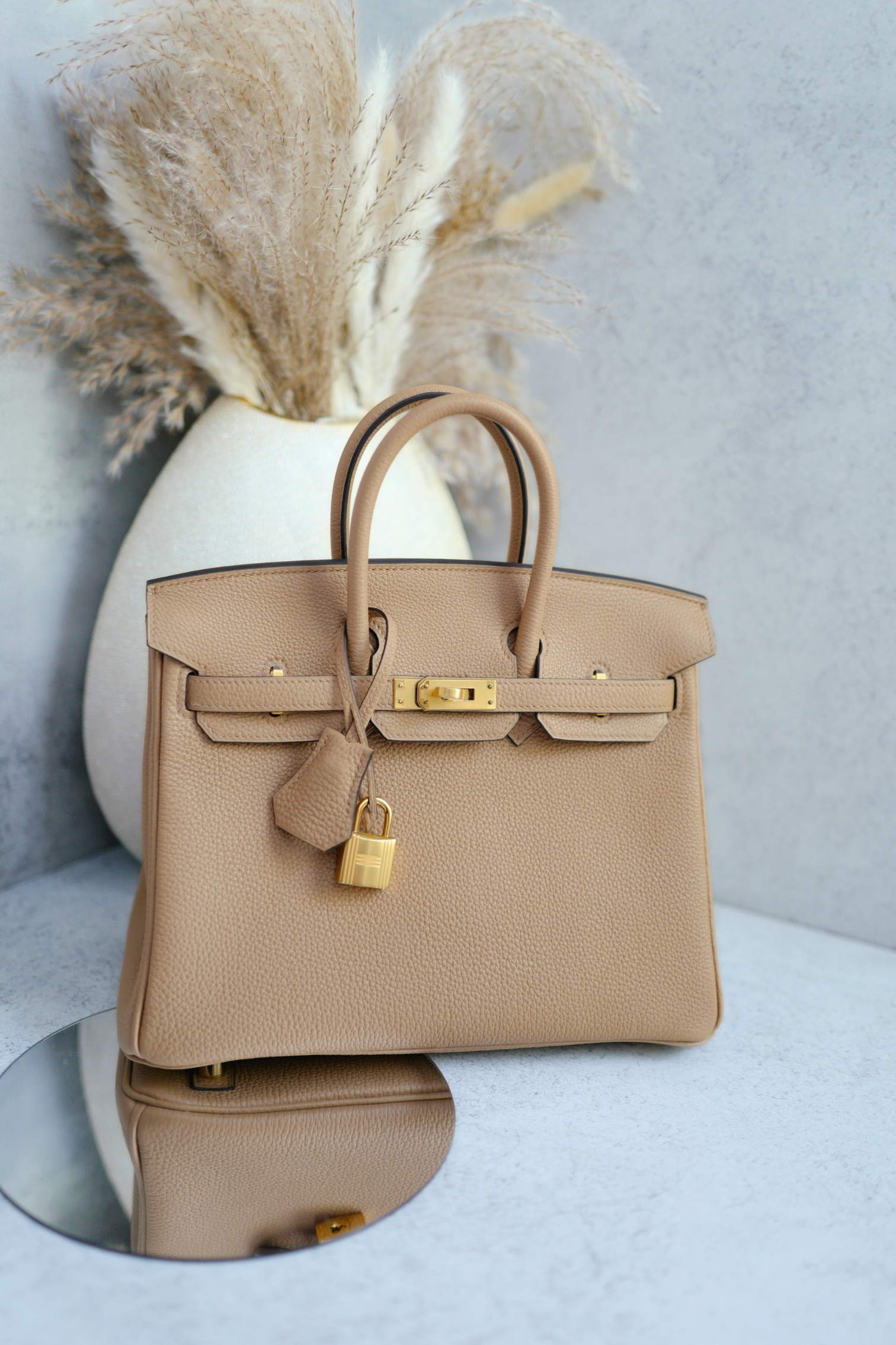 BNIB Hermès Birkin 25 Bag Chai Togo Leather with Gold Hardware Stamp U 2023