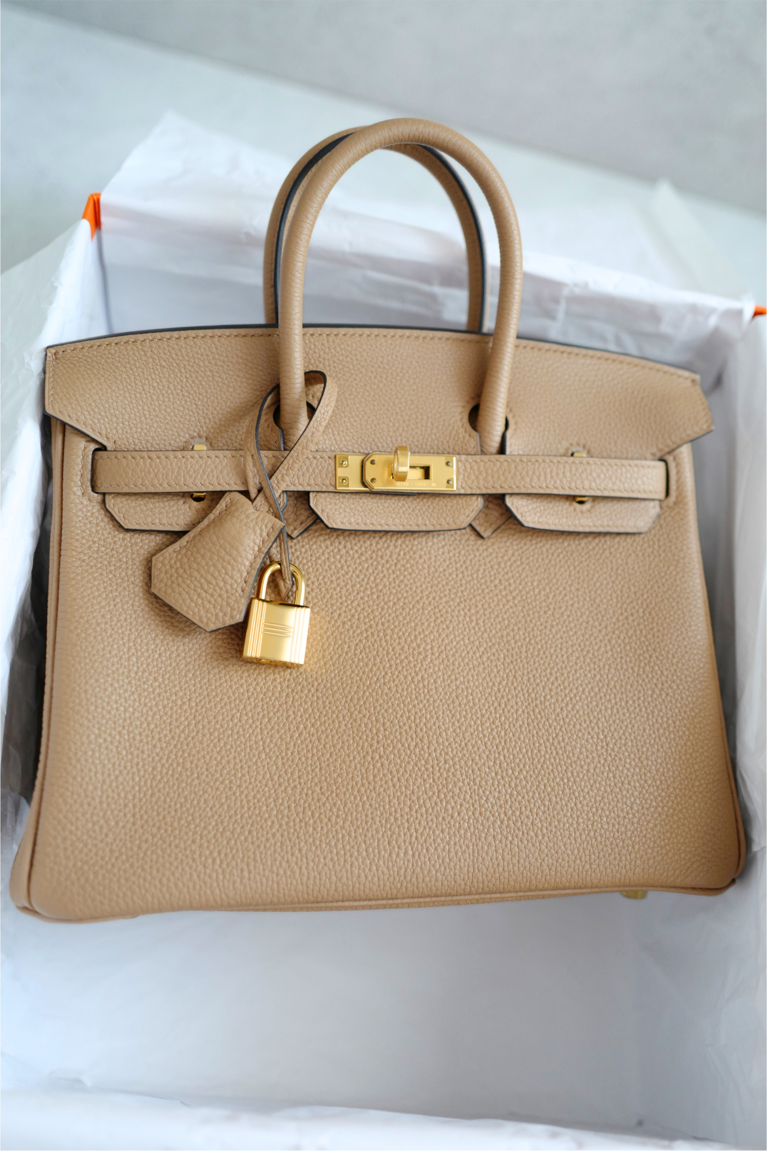 BNIB Hermès Birkin 25 Bag Chai Togo Leather with Gold Hardware Stamp U 2023