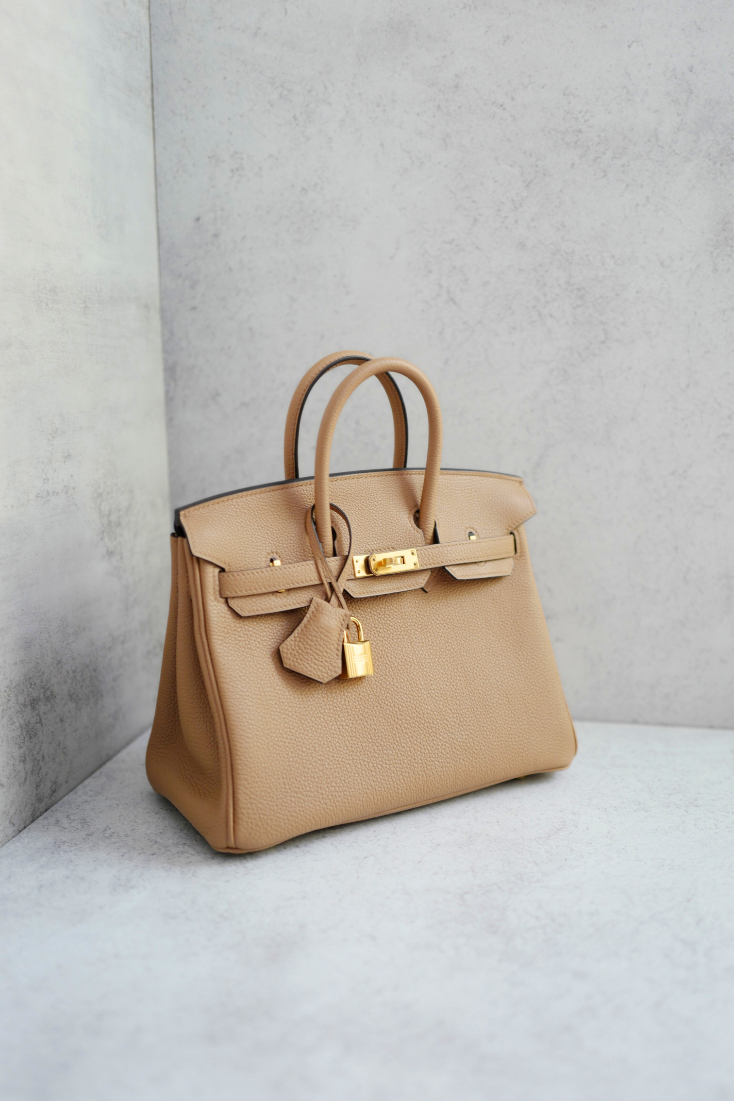 BNIB Hermès Birkin 25 Bag Chai Togo Leather with Gold Hardware Stamp U 2023