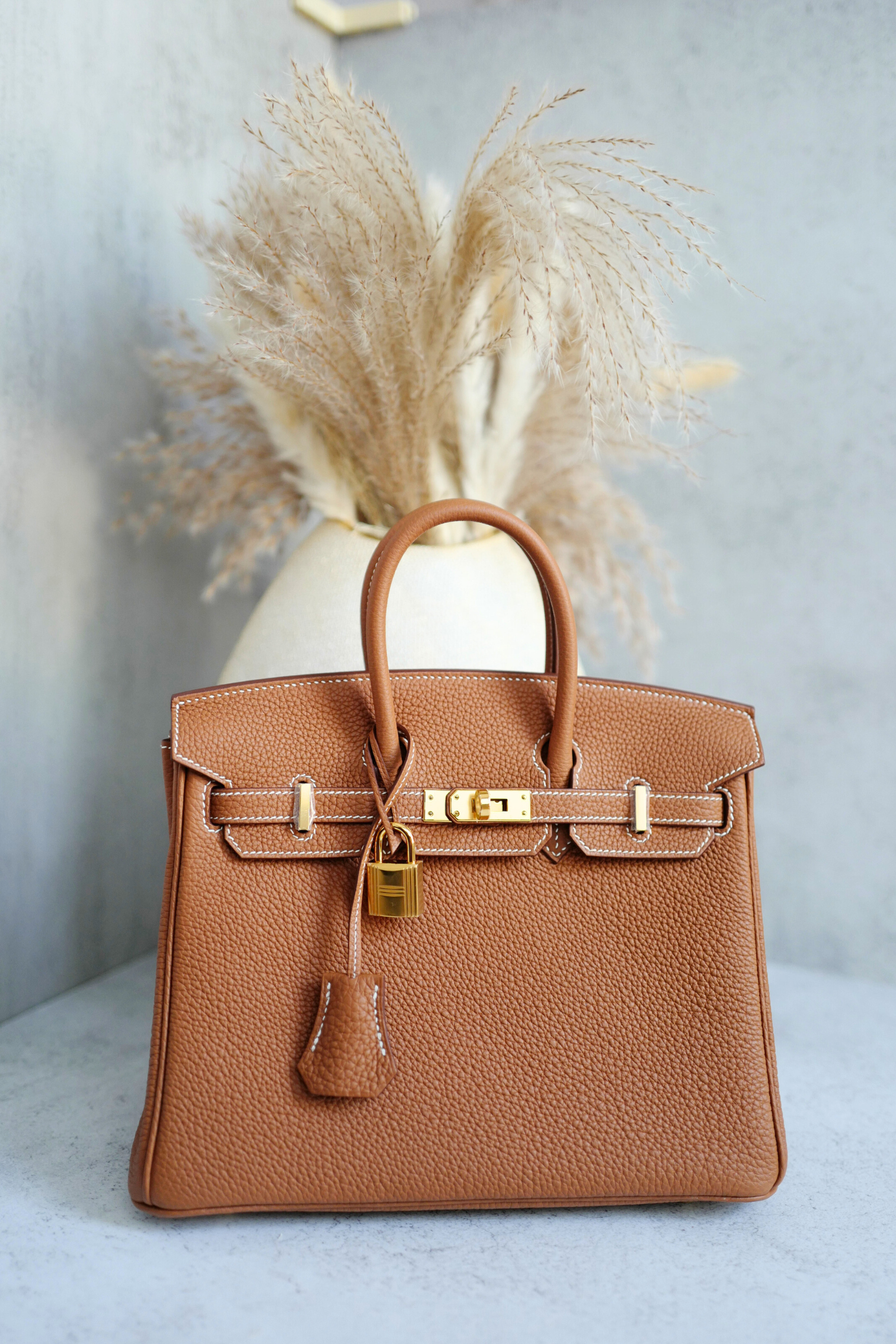 BNIB Hermès Birkin 25 Bag Gold Togo Leather with Gold Hardware