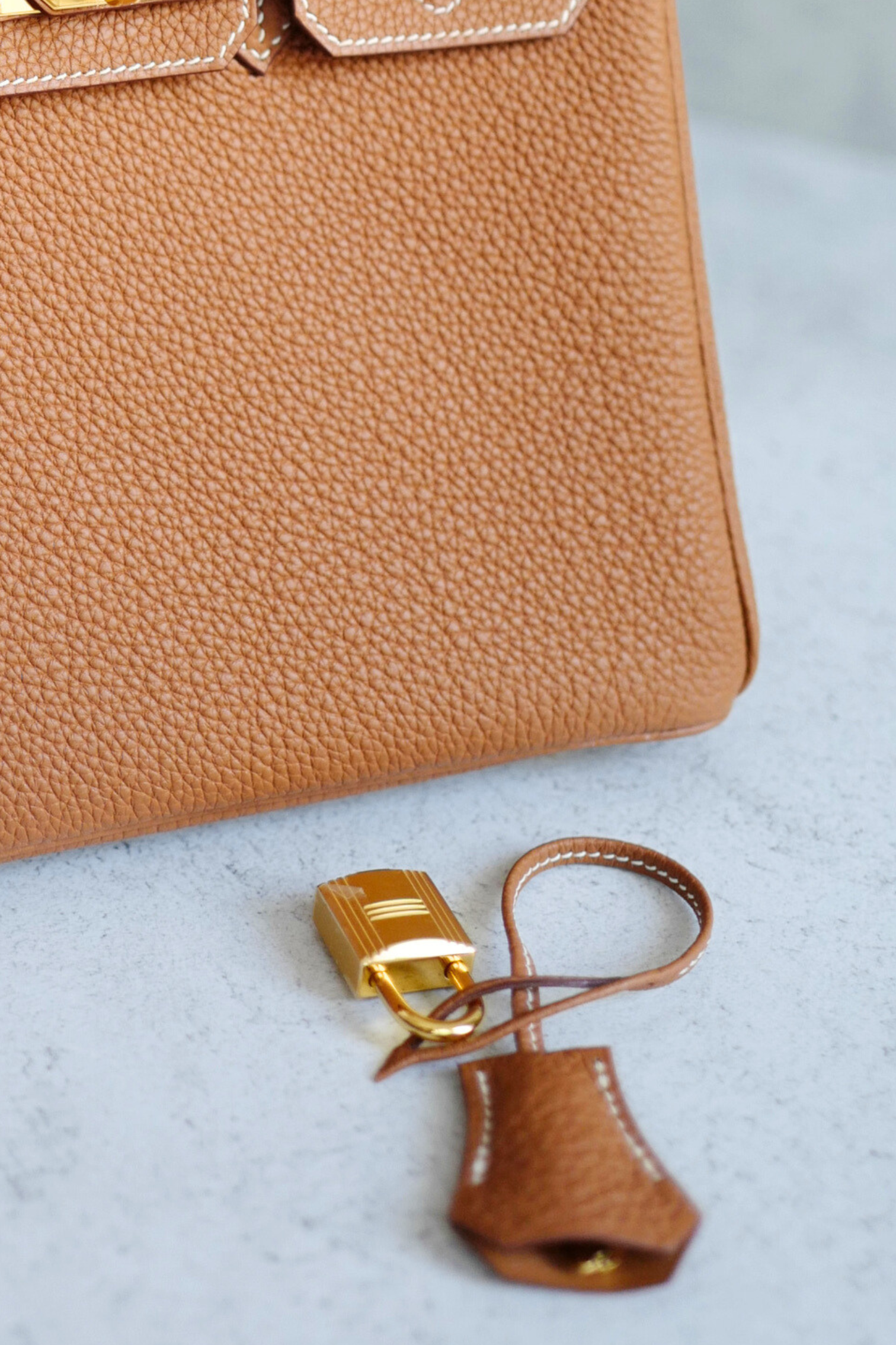 BNIB Hermès Birkin 25 Bag Gold Togo Leather with Gold Hardware