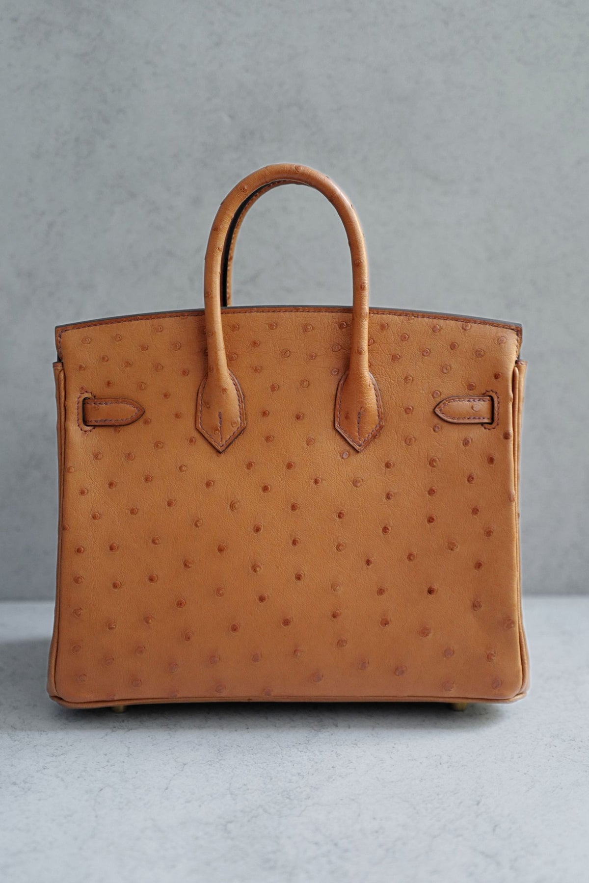 Hermès Birkin 25 Cognac Ostrich Leather Gold Hardware G Stamp 2026