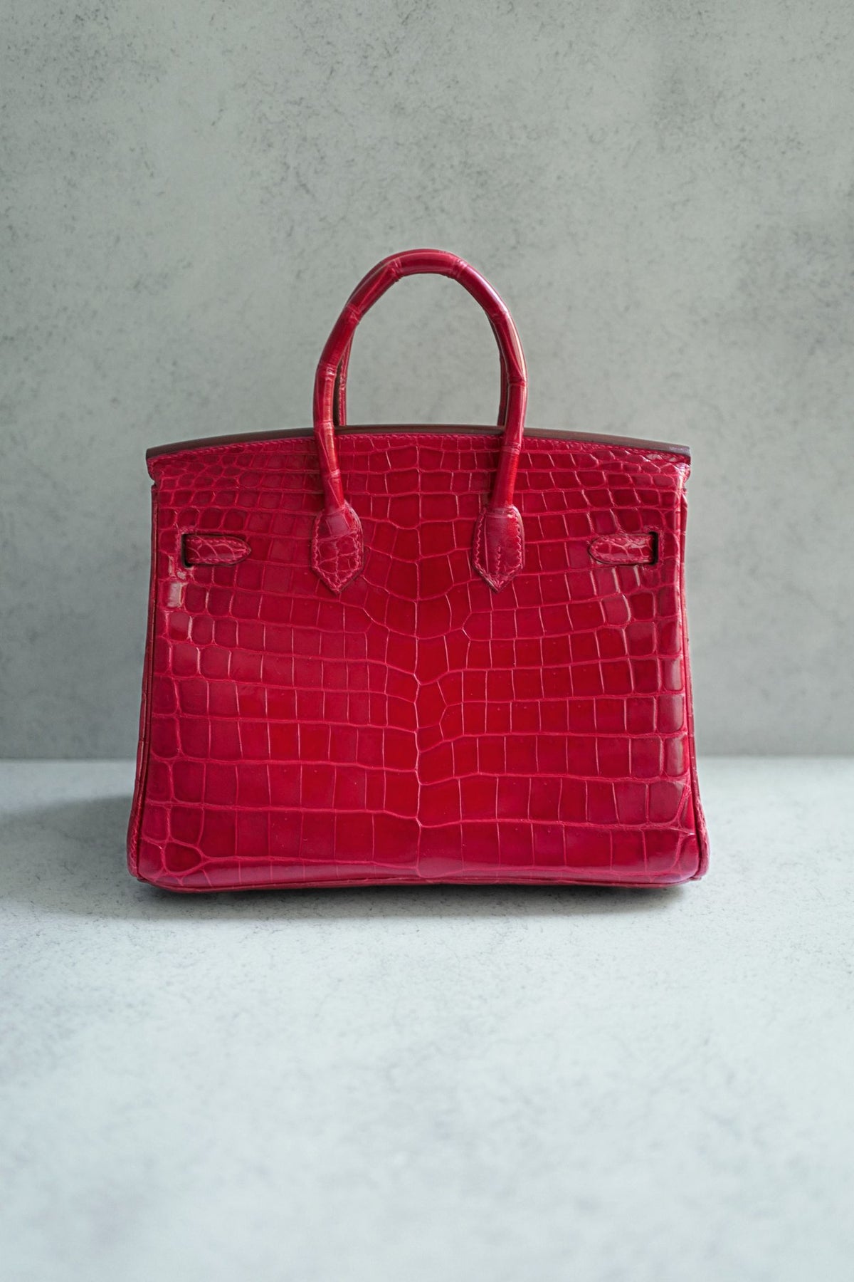 Hermes Birkin 25 Braise Shiny Niloticus Crocodile Palladium Hardware