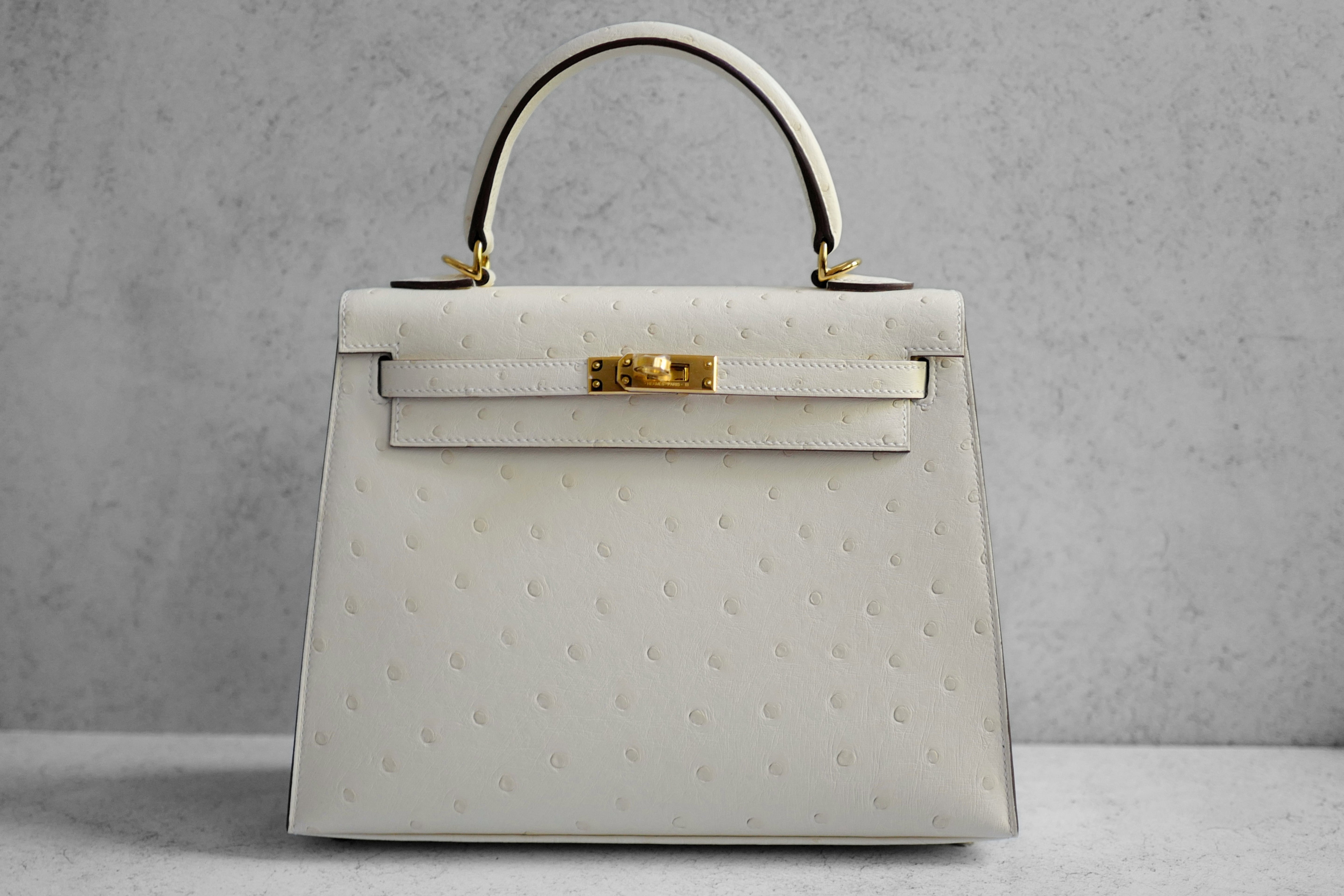 Hermès Kelly II 25 Nata Ostrich Sellier Boréale Gold Hardware G Stamp 2026