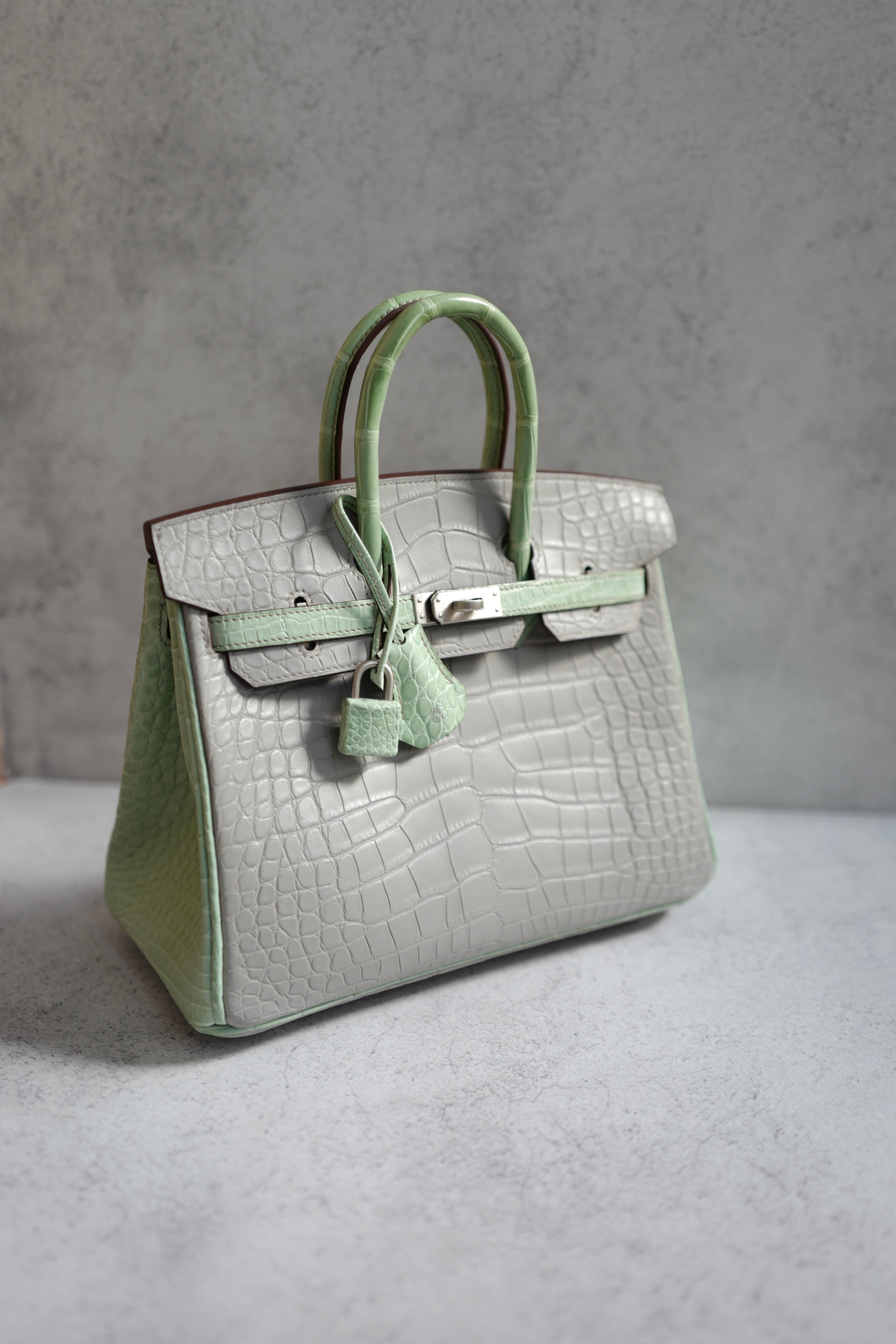 BNIB Hermes Birkin 25 HSS Gris Perle/Vert D’eau Matte Crocodile Brushed Palladium HW