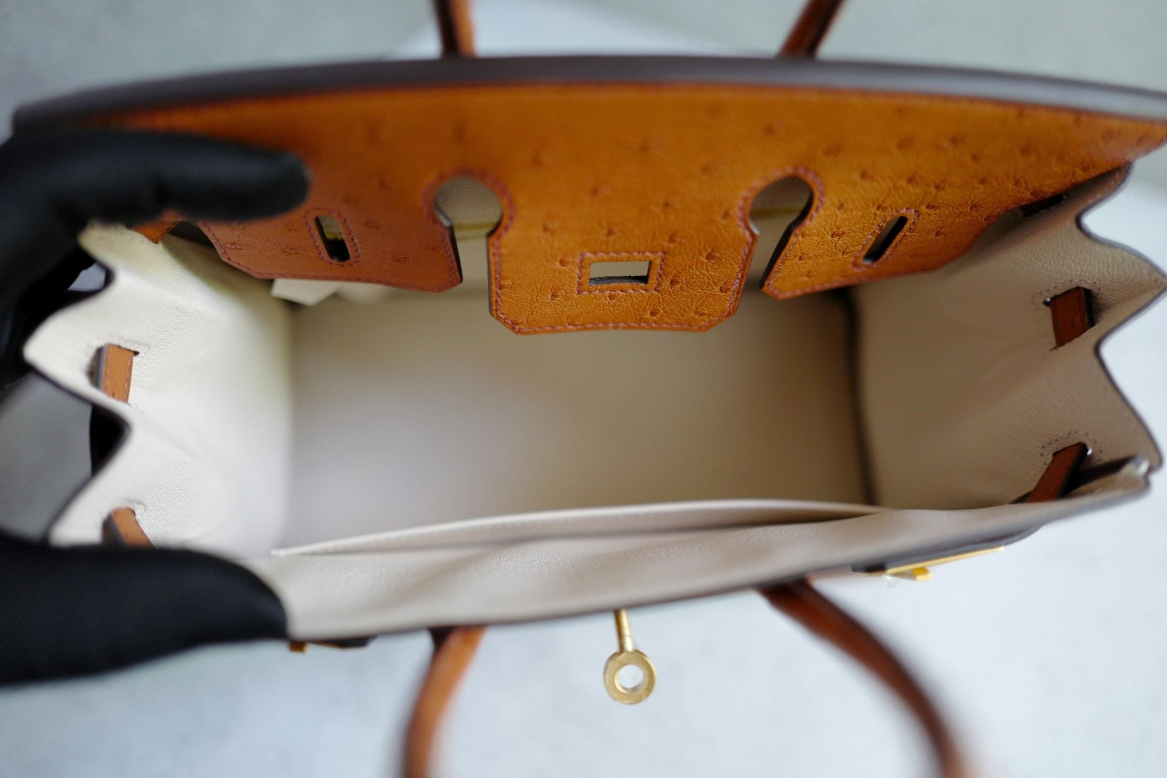 Hermès Birkin 25 Cognac Ostrich Leather Gold Hardware G Stamp 2026